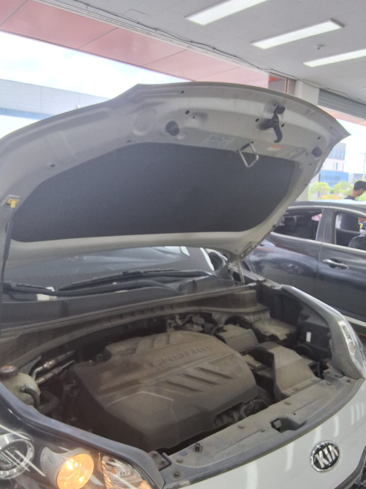 2019 - kia sportage