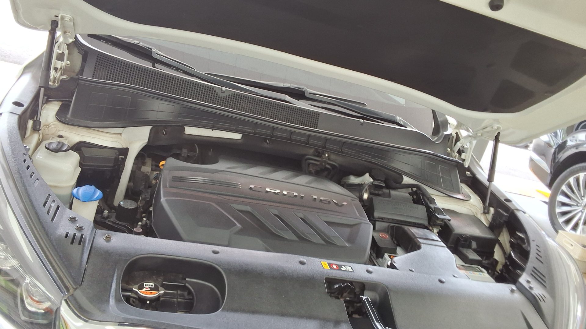 2019 - kia sorento