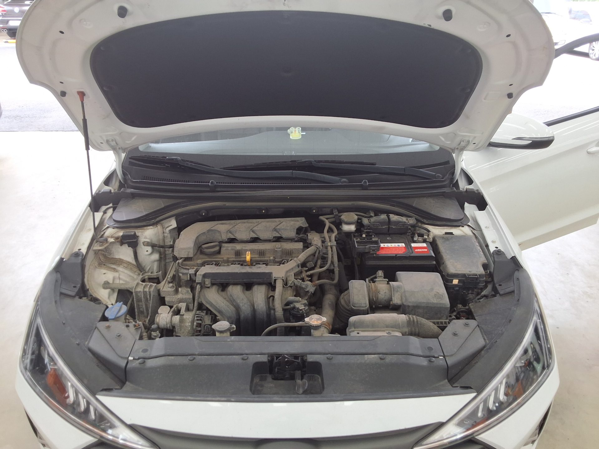 2019 - hyundai avante