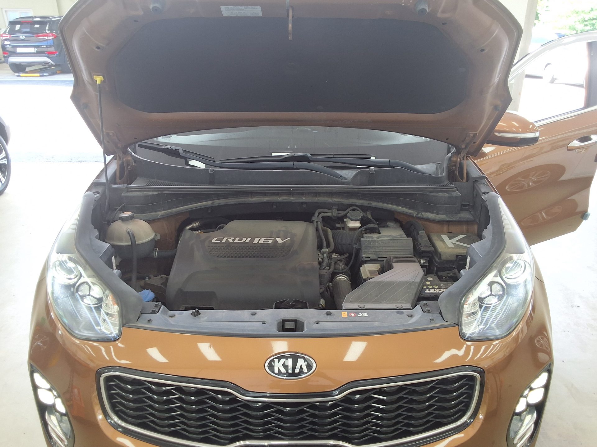2016 - kia sportage