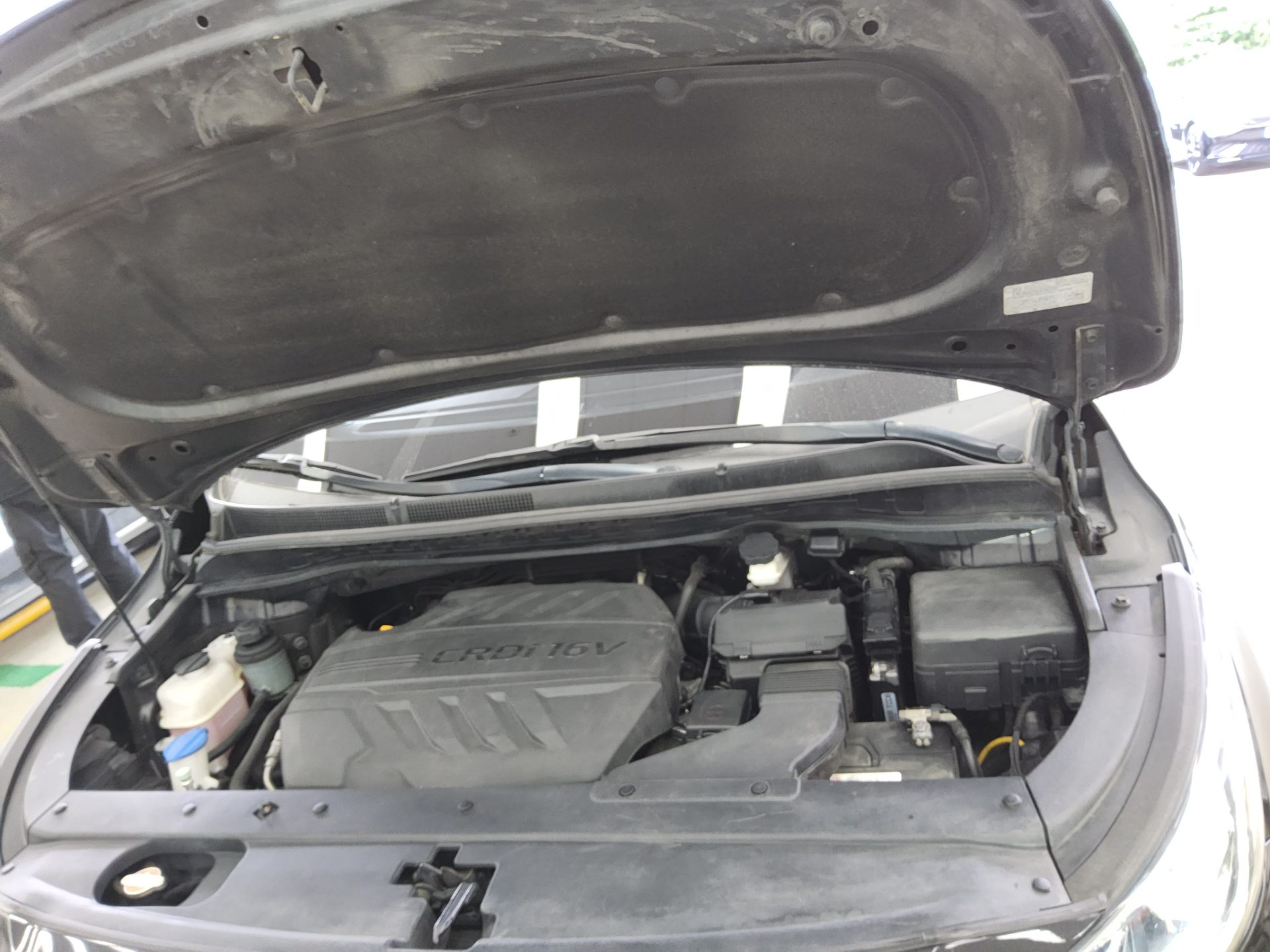 2016 - kia carnival