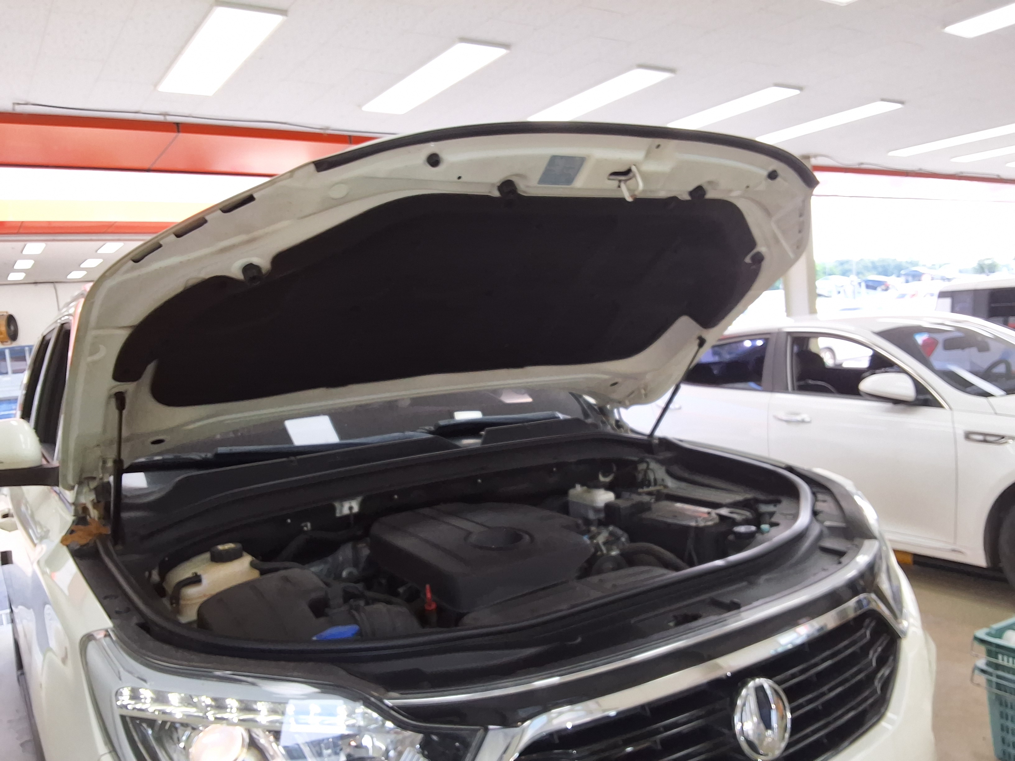 2018 - ssangyong rexton