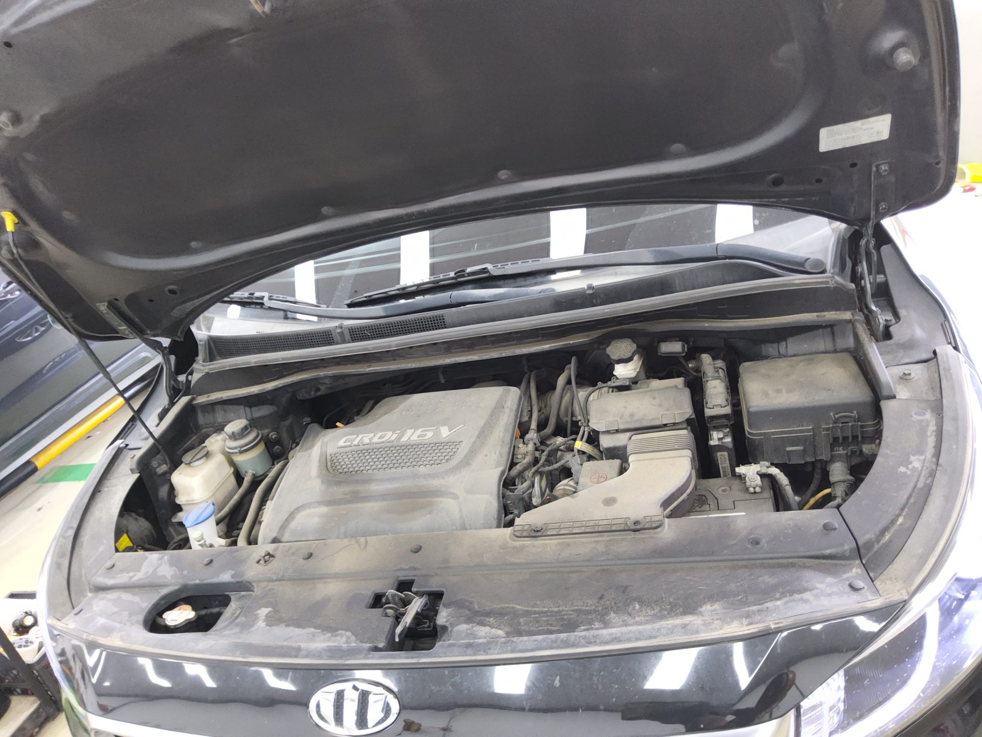 2016 - kia carnival