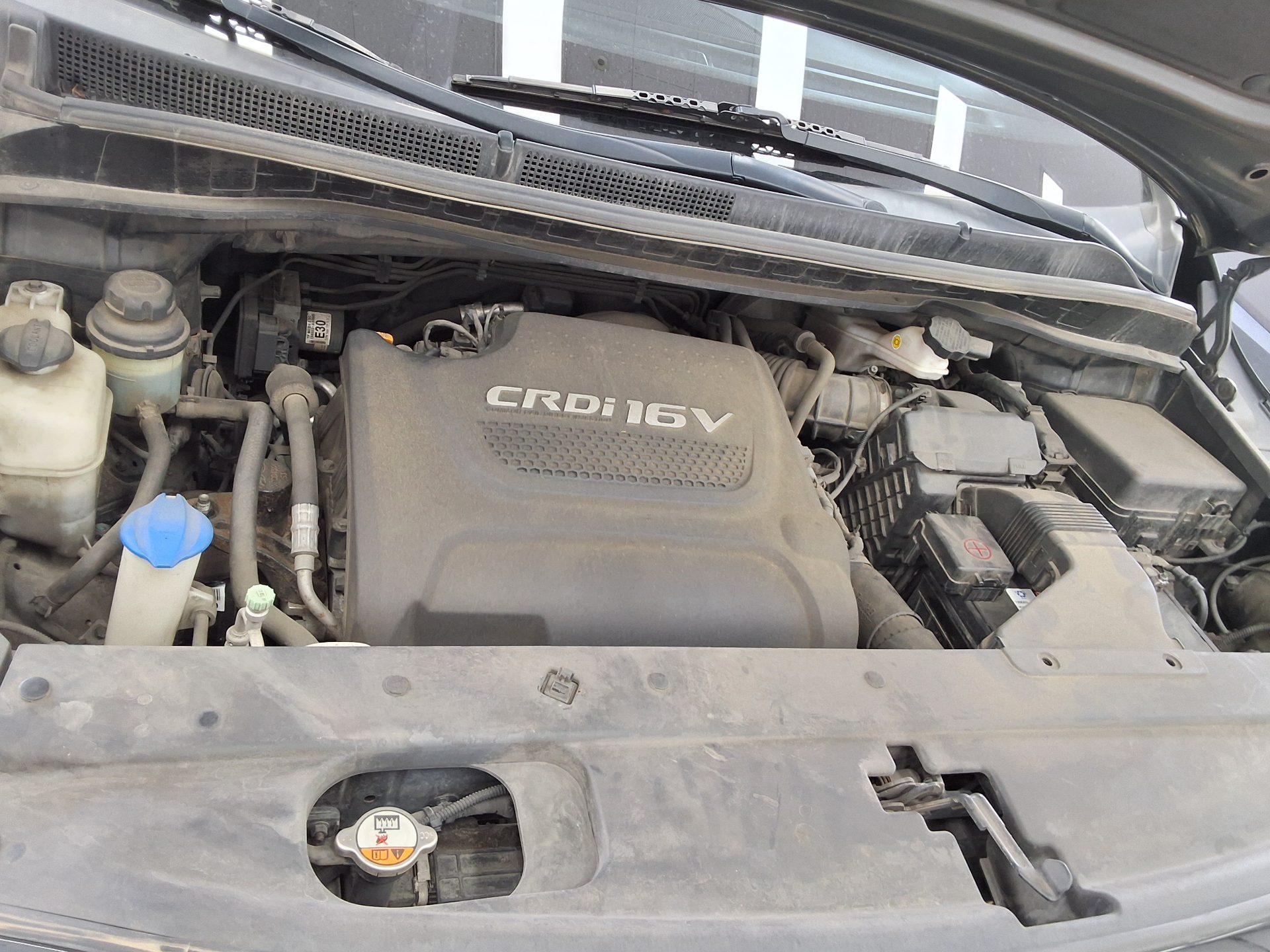 2015 - kia carnival
