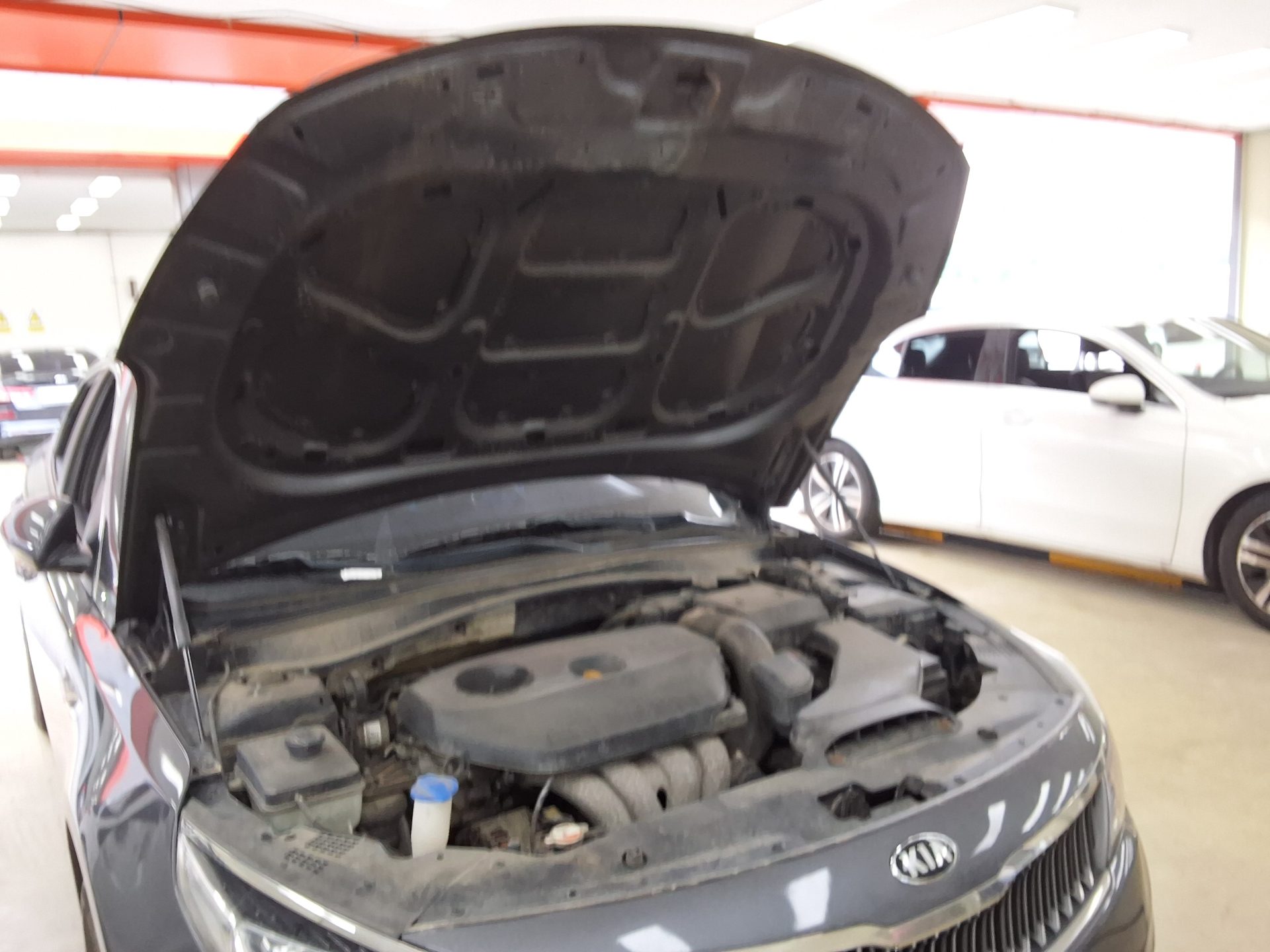 2020 - kia k5