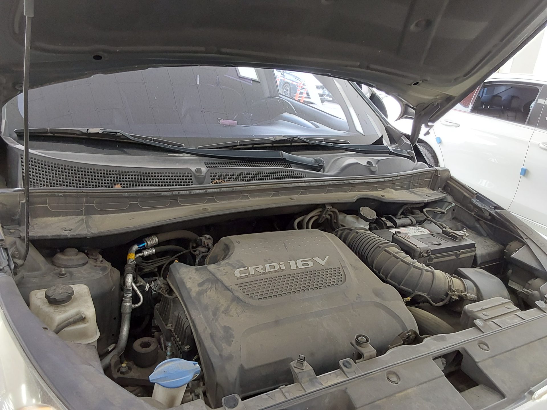 2016 - kia sportage