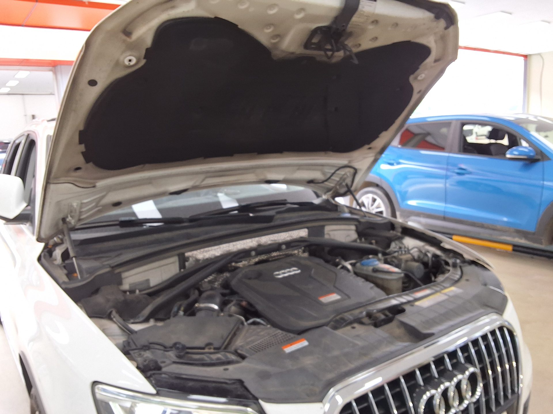 2015 - audi q5