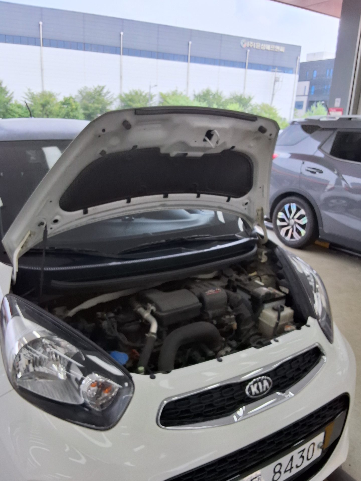 2016 - kia morning