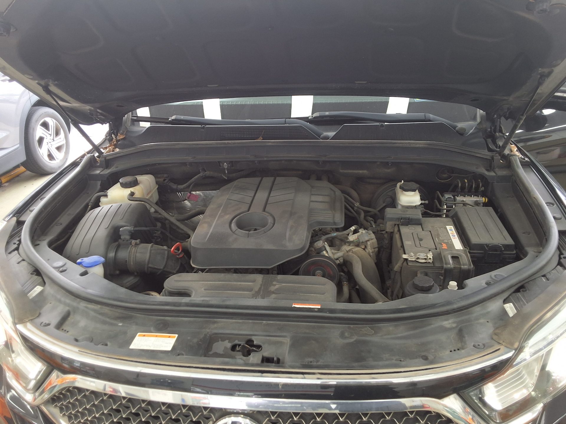 2019 - ssangyong rexton