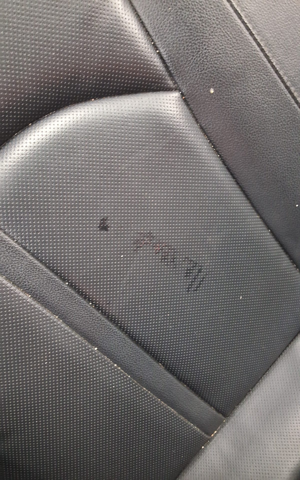 2019 - kia k5