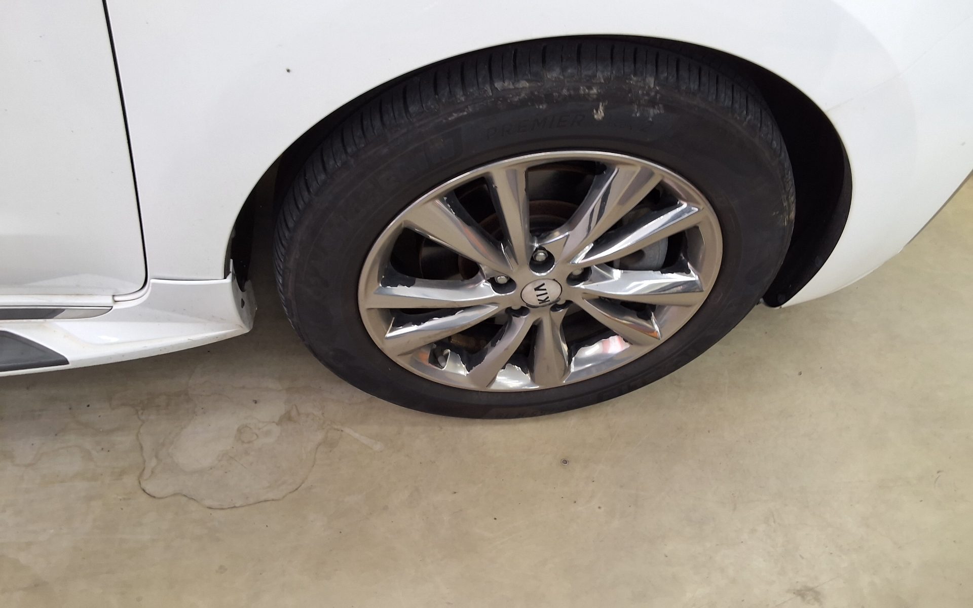 2019 - kia carnival