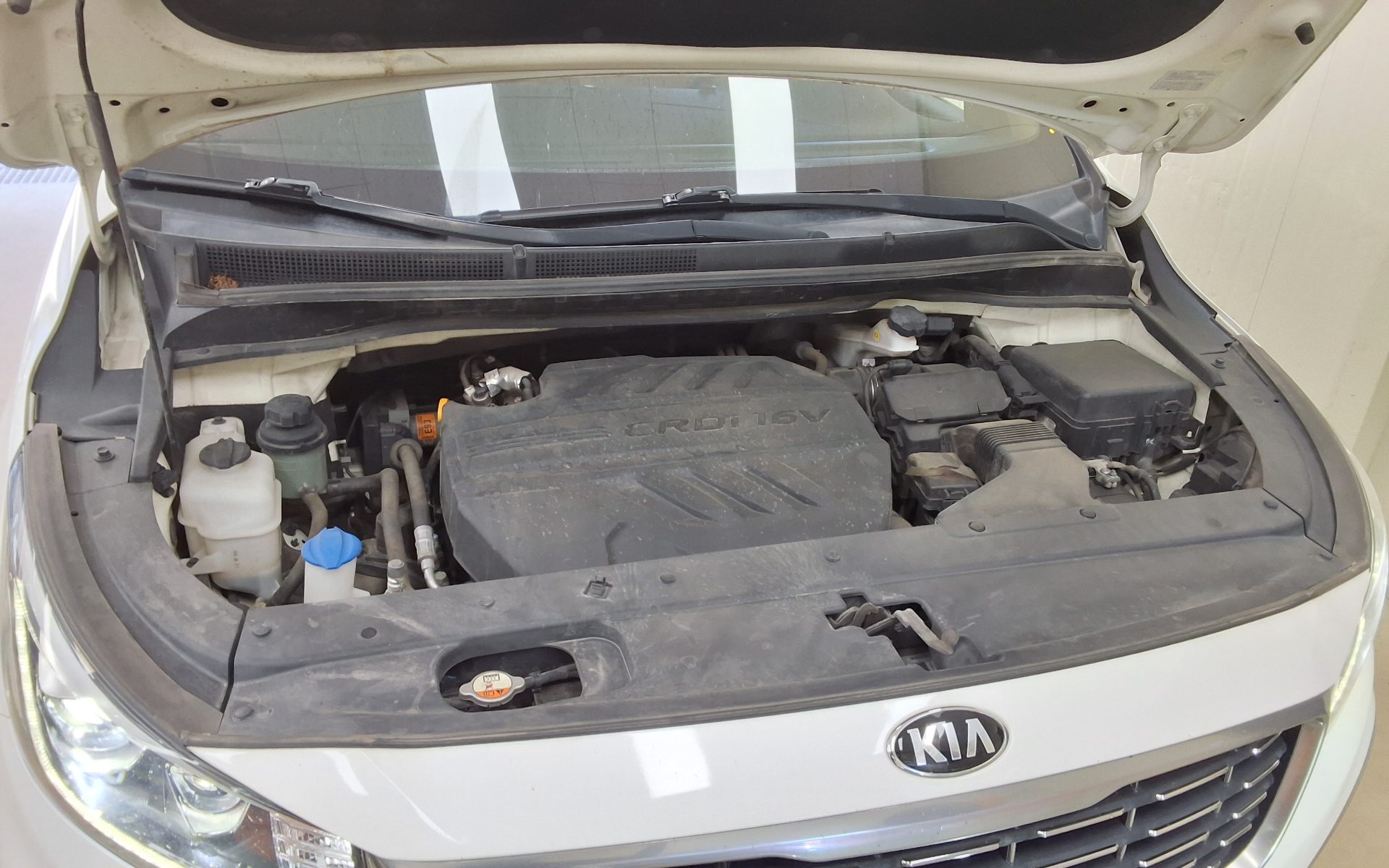 2019 - kia carnival
