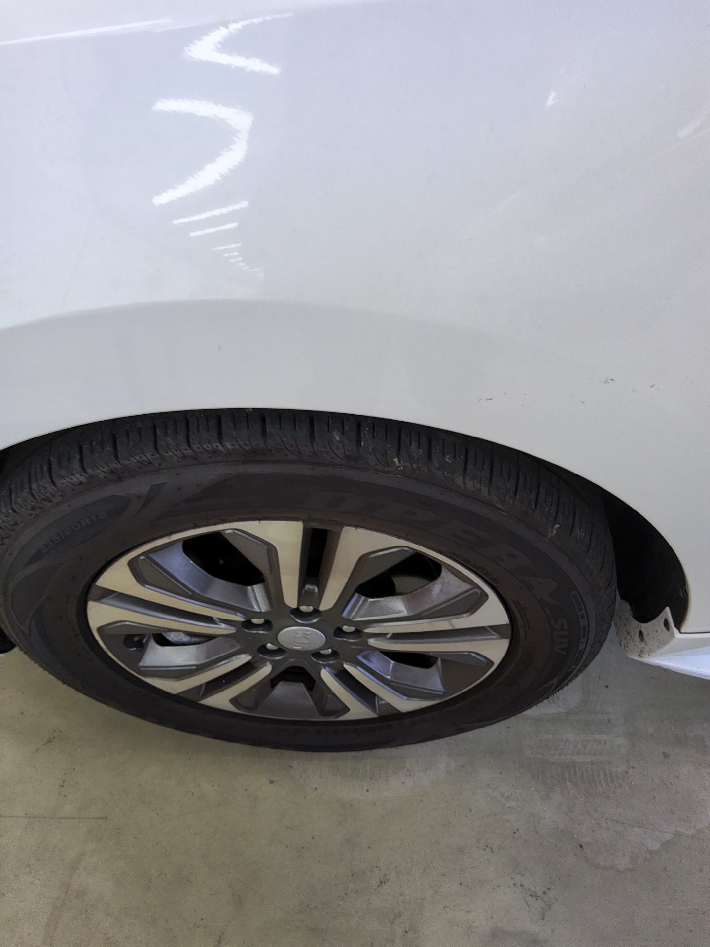 2019 - kia carnival