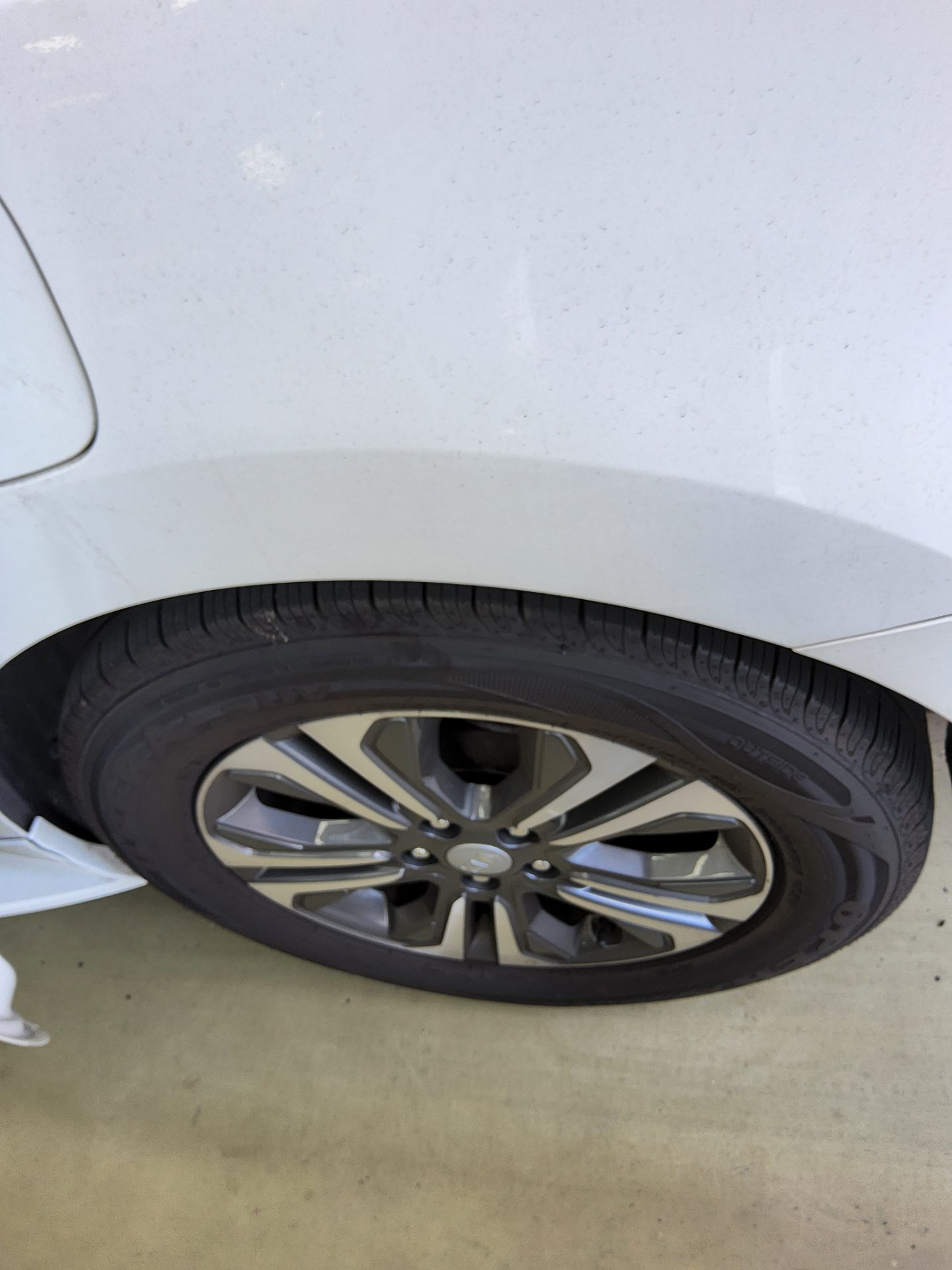 2019 - kia carnival
