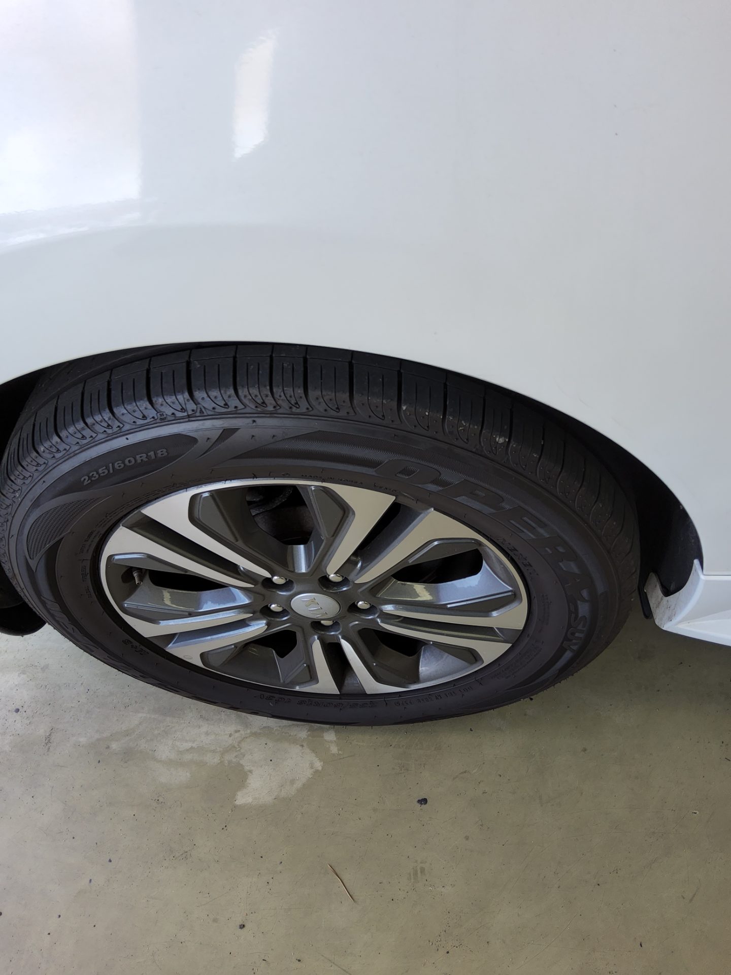 2019 - kia carnival