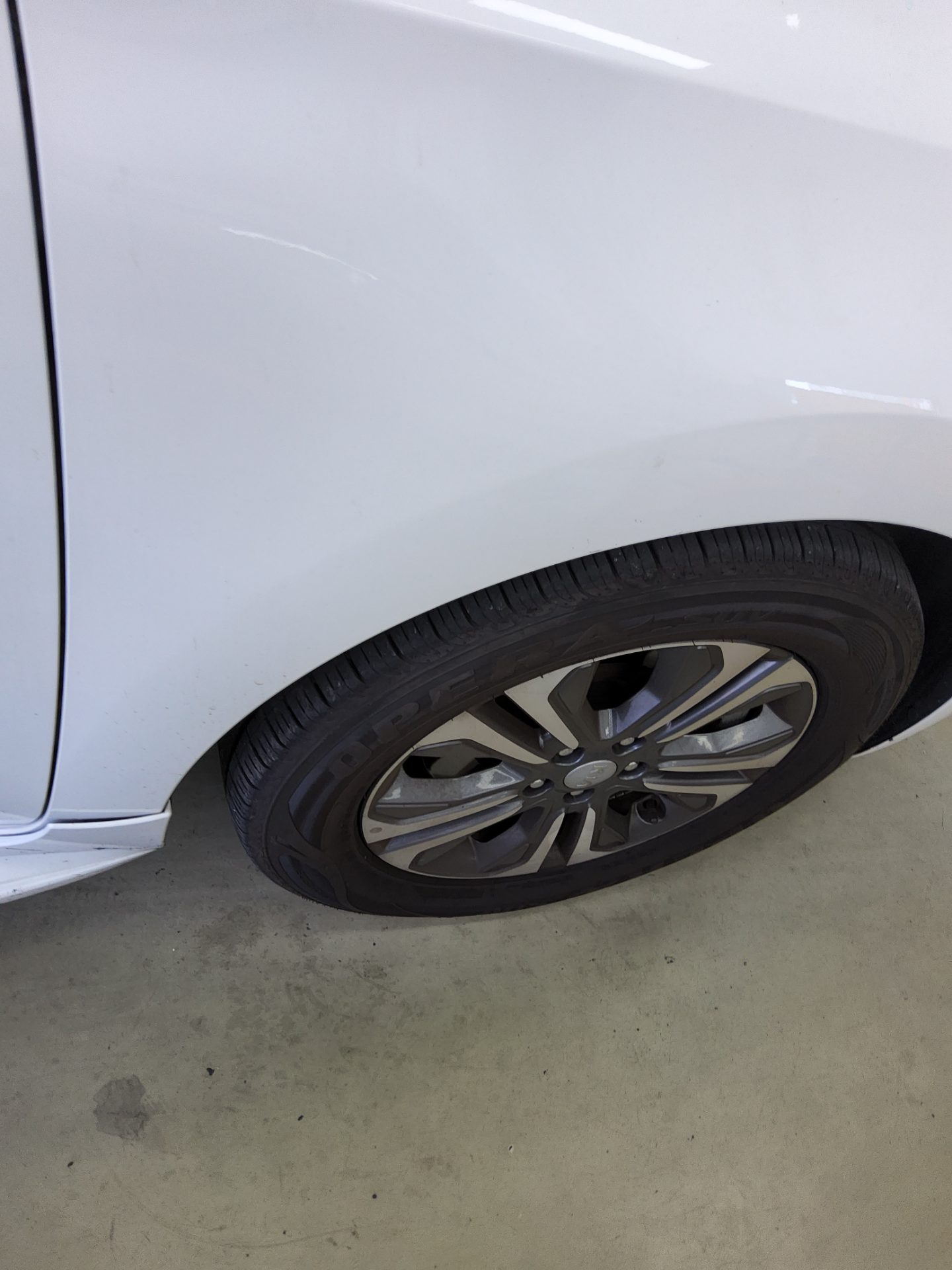 2019 - kia carnival