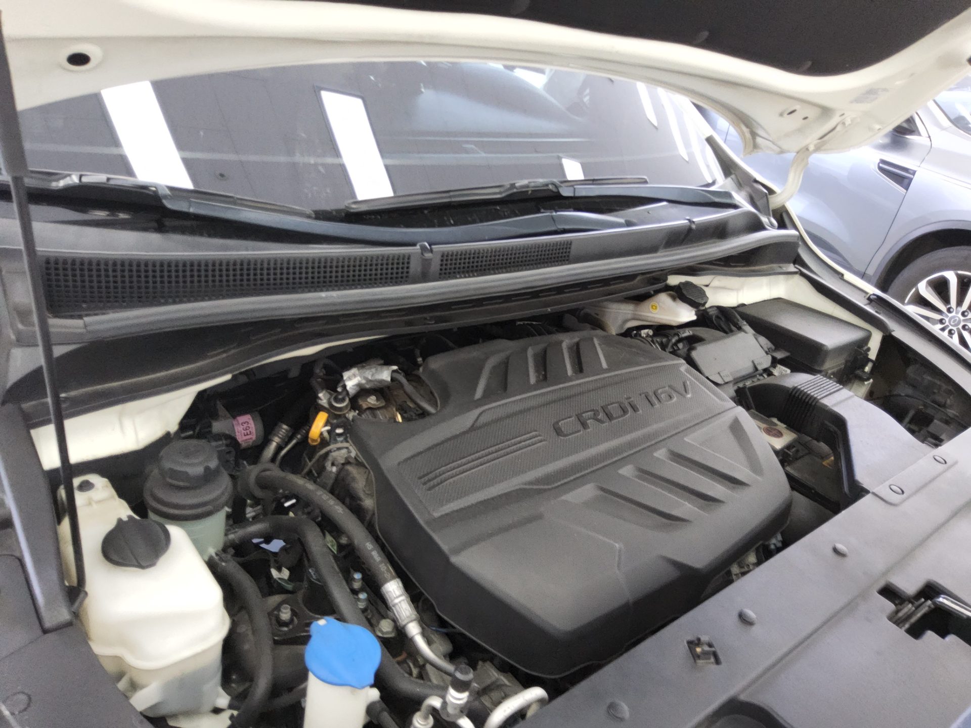 2019 - kia carnival