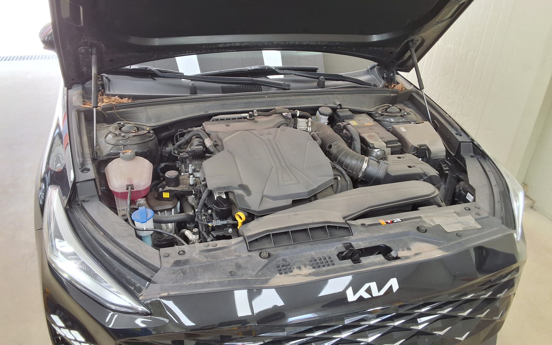 2023 - kia k8