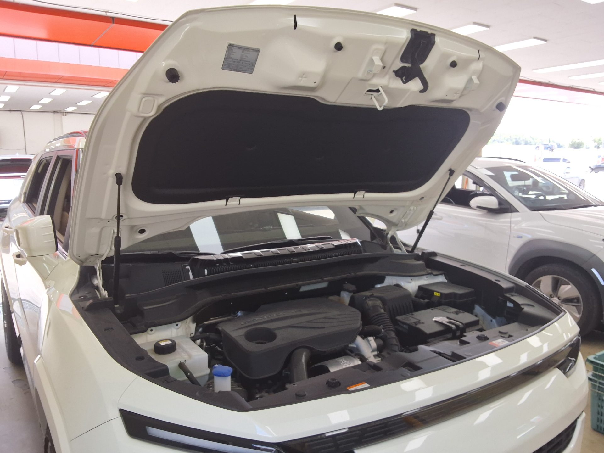 كي جي موبيليتي Mobility (سانج يونج) أكتيون (J120) 1.5 T GDI دفع ثنائي 2025