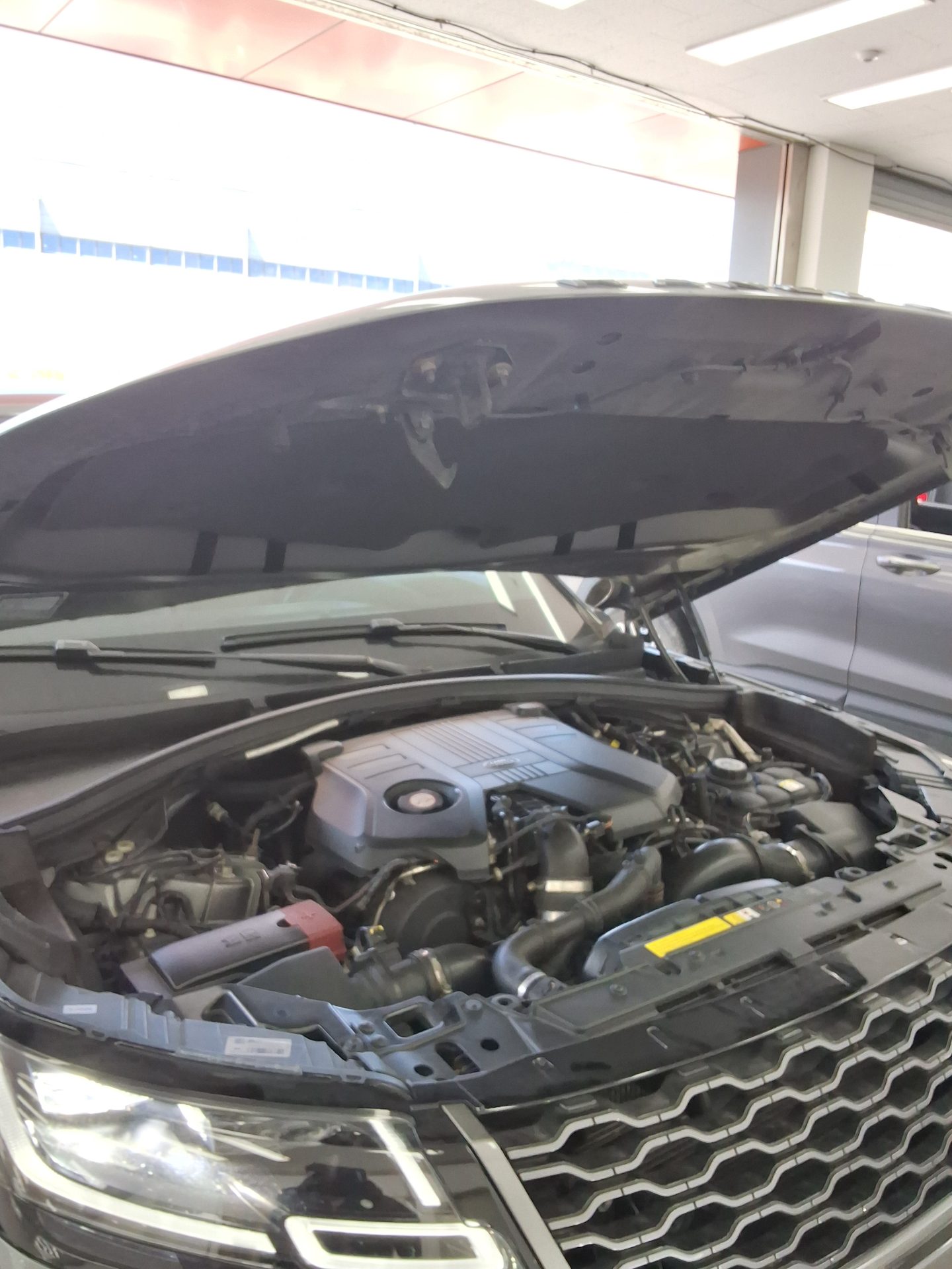 2019 - land rover range rover