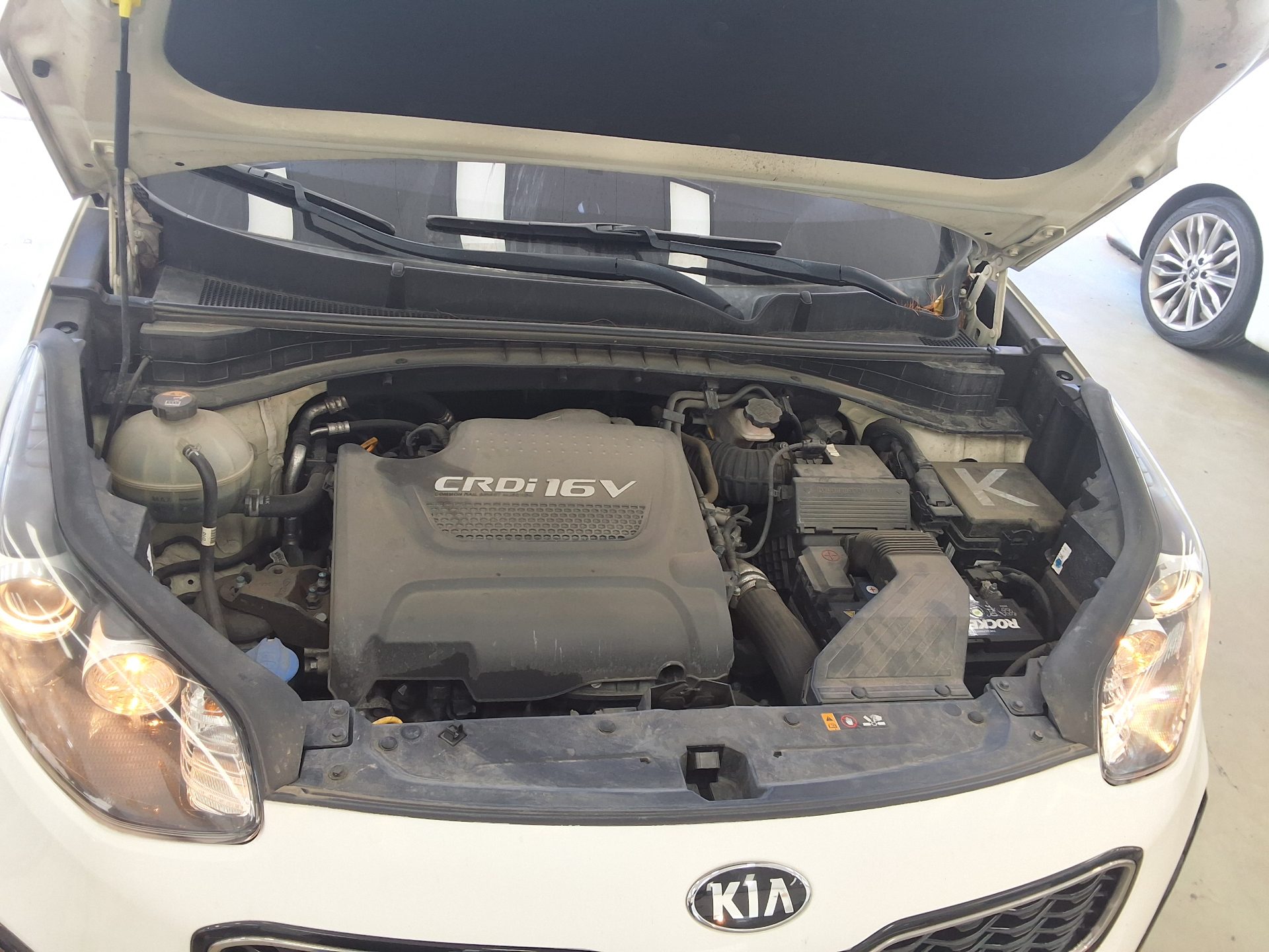 2016 - kia sportage