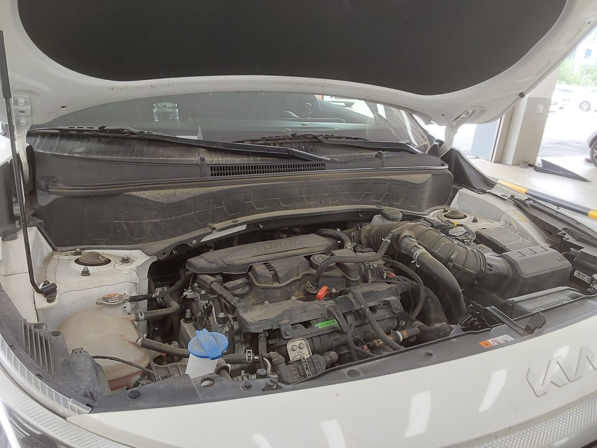 كيا سيلتوس 2025 TURBO TRENDY