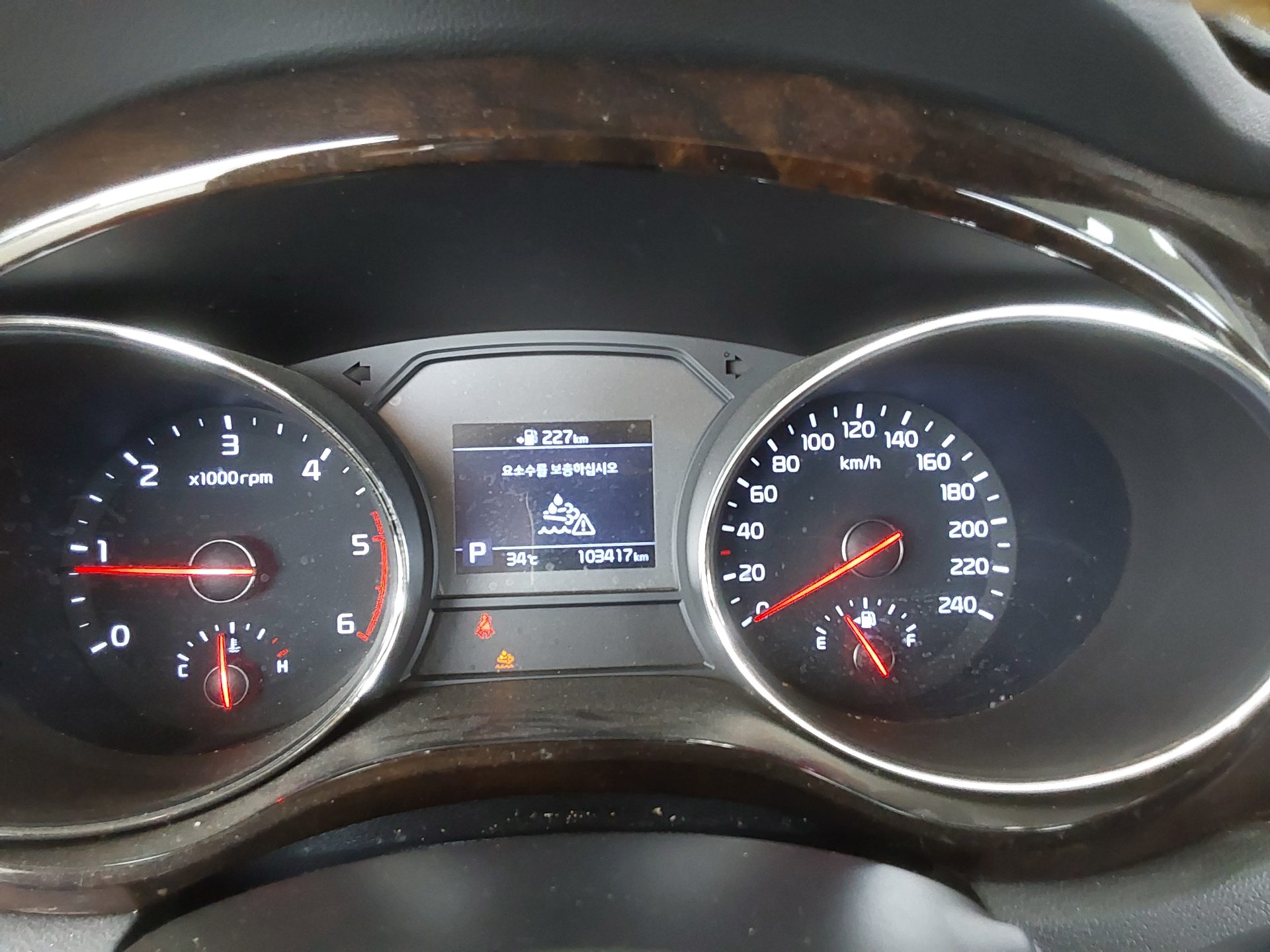 2019 - kia carnival