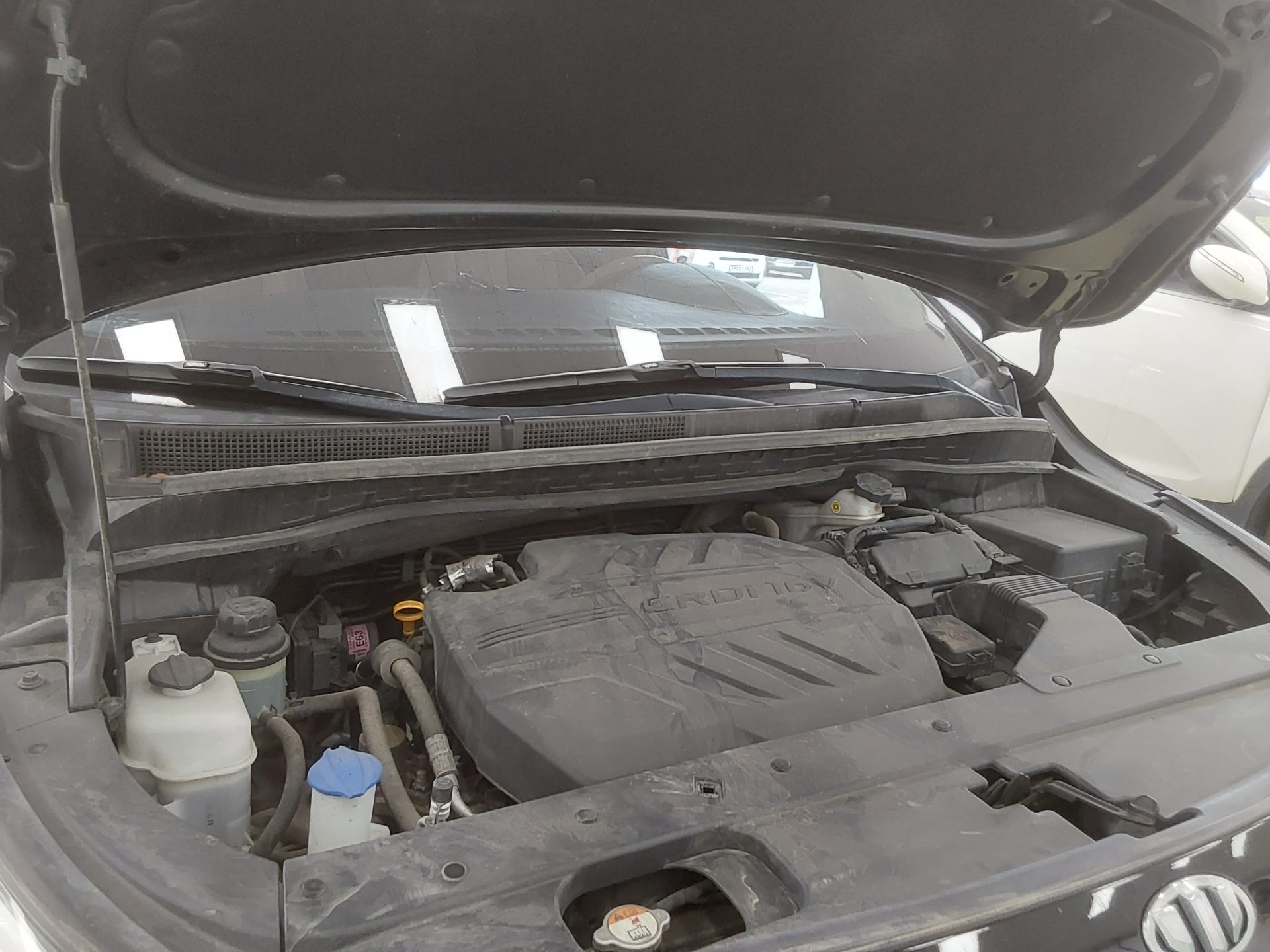 2019 - kia carnival