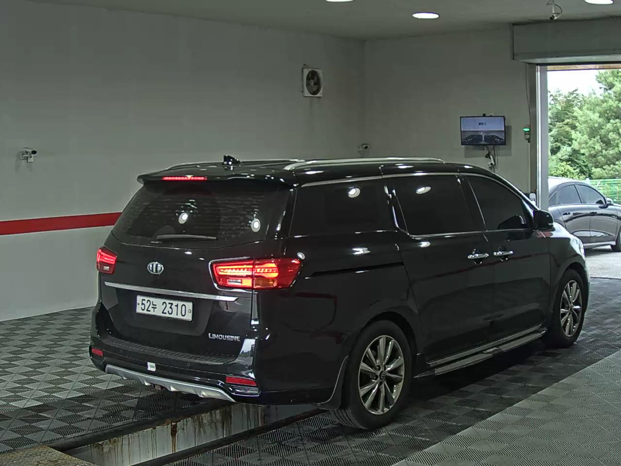 2019 - kia carnival