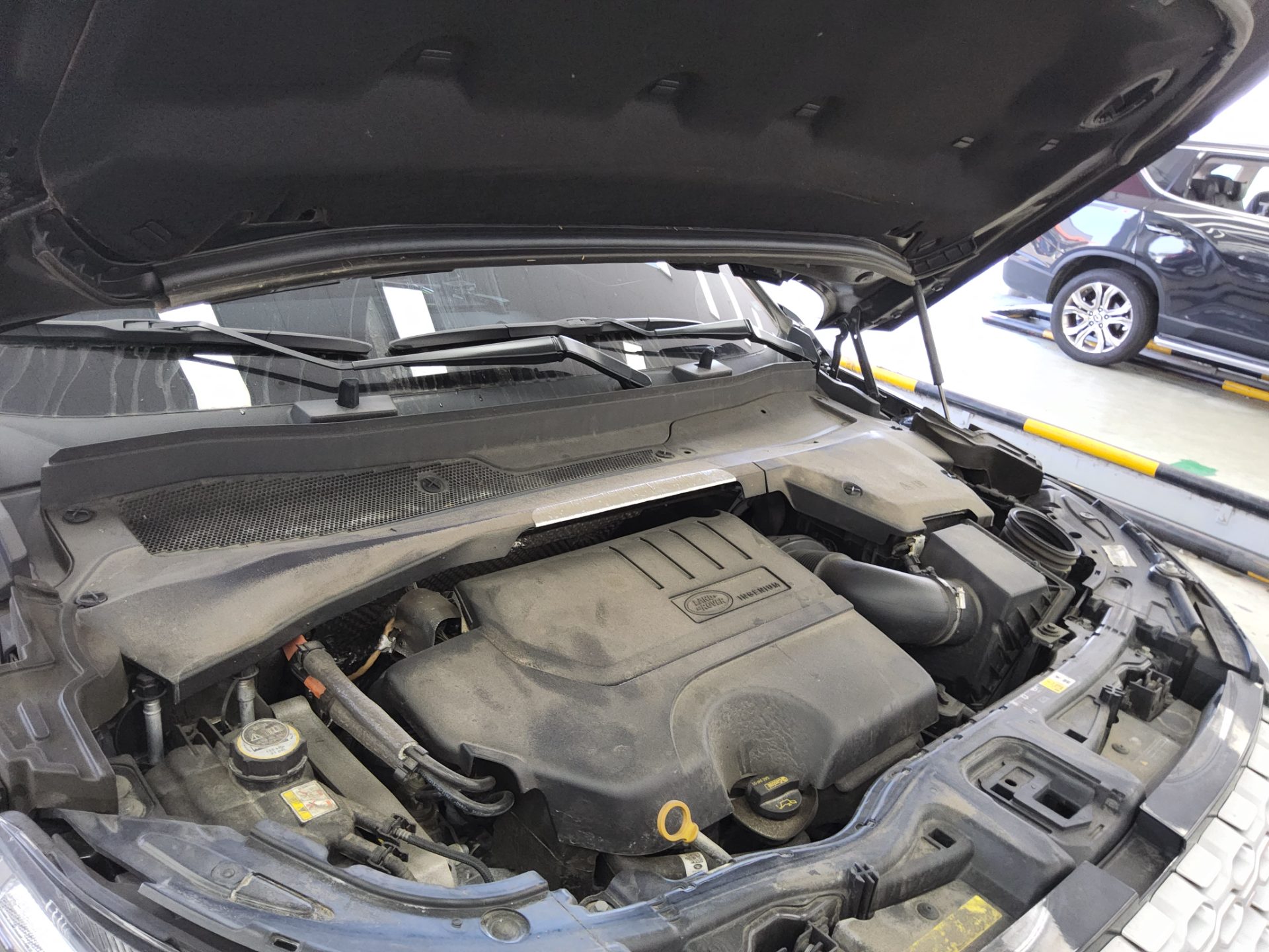 لاند روفر Rover Discovery Sport 2.0 P250 Se 2021 SPORT SE