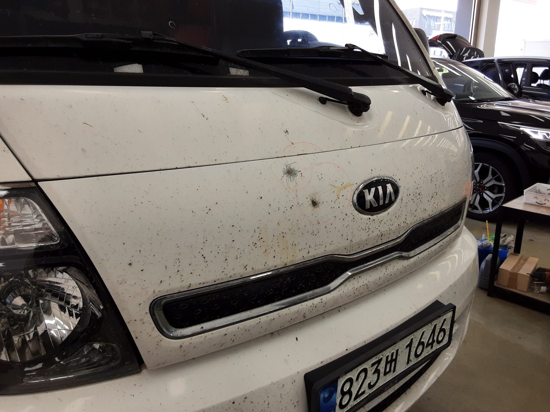 2019 - kia bongo