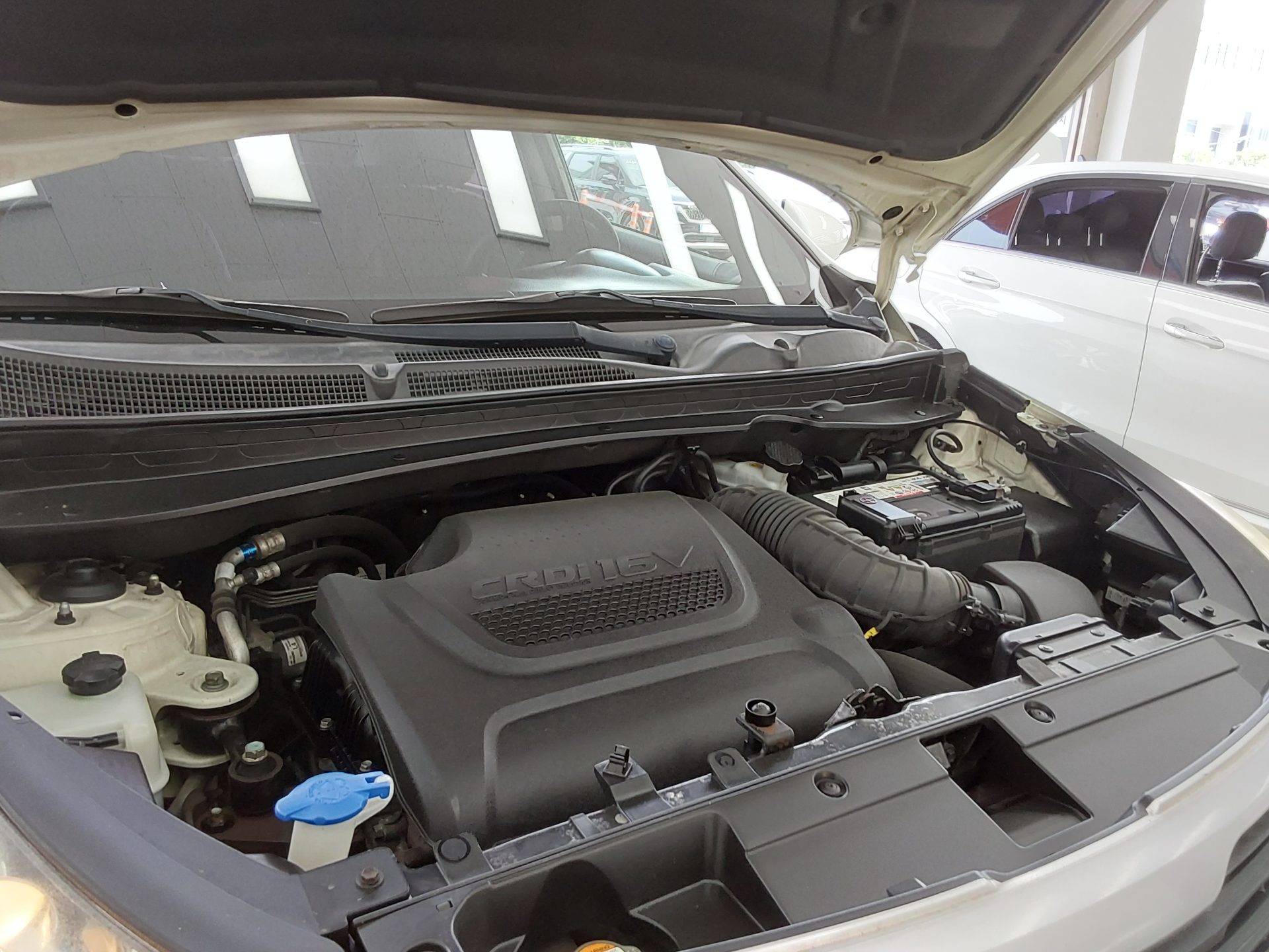 كيا سبورتاج 2012 TLX بريميوم