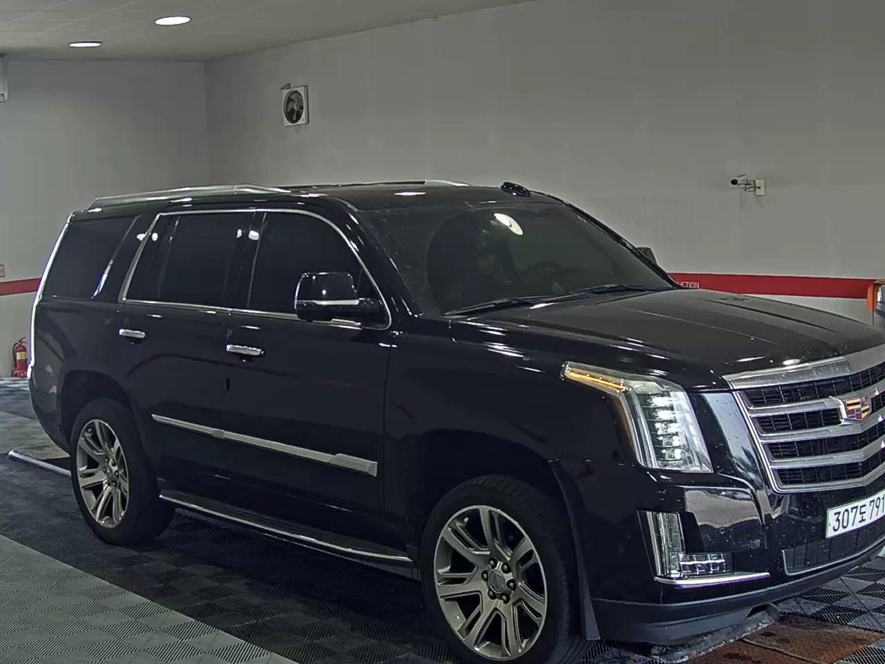 2019 - cadillac escalade