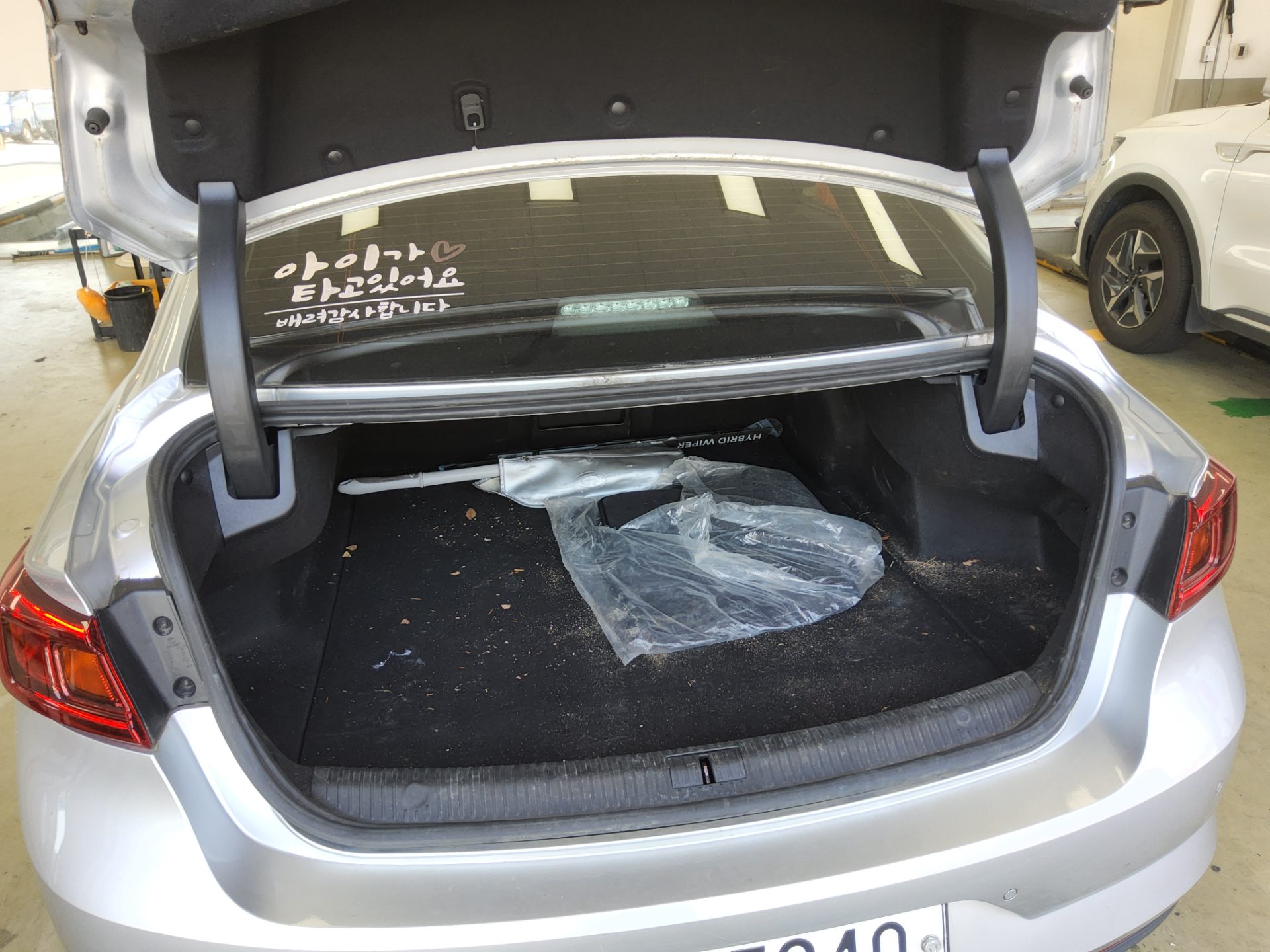 رينو (Samsung) إس إم 6 2.0 Lpe Disabled Vehicle Se 2019 SE