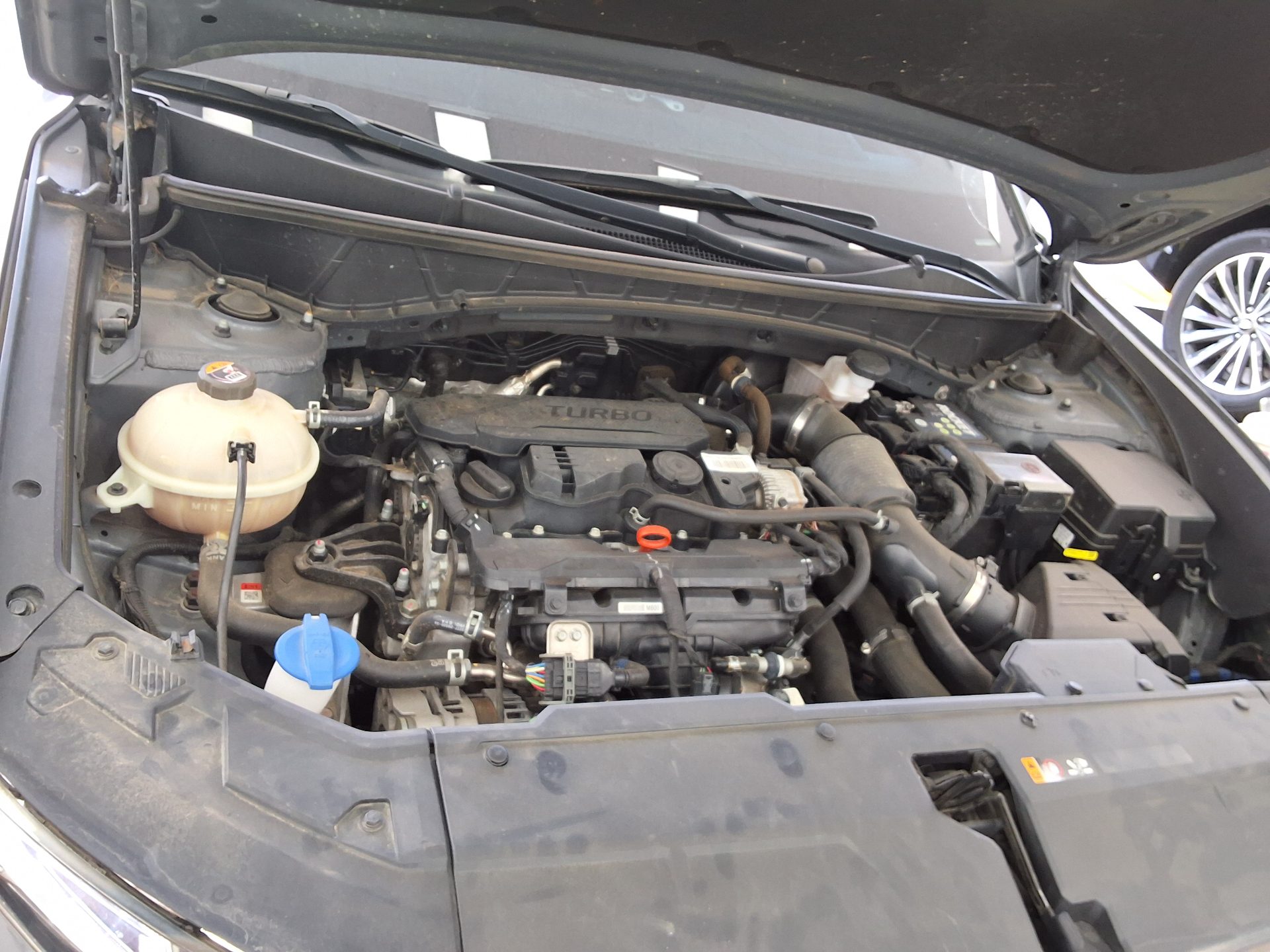 هيونداي توسان 2022 TURBO بريميوم
