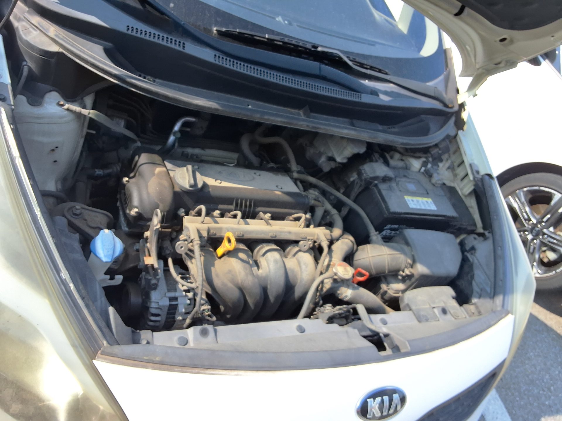 كيا الجديد كليا برايد 4 أبواب 1.4 Mpi سمارت 2014 SMART