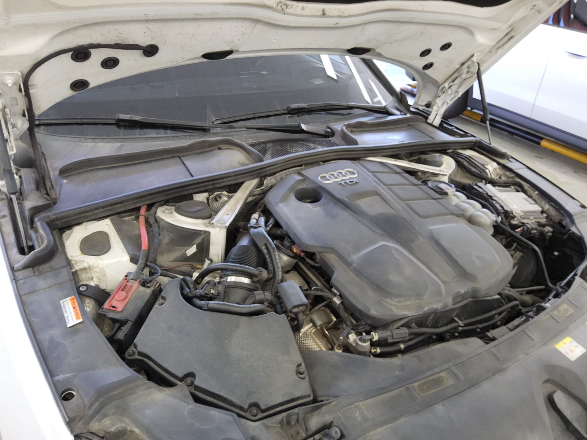 أودي إيه 4 (5Th Gen) 40 TDI كواترو بريميوم 2020 40 بريميوم