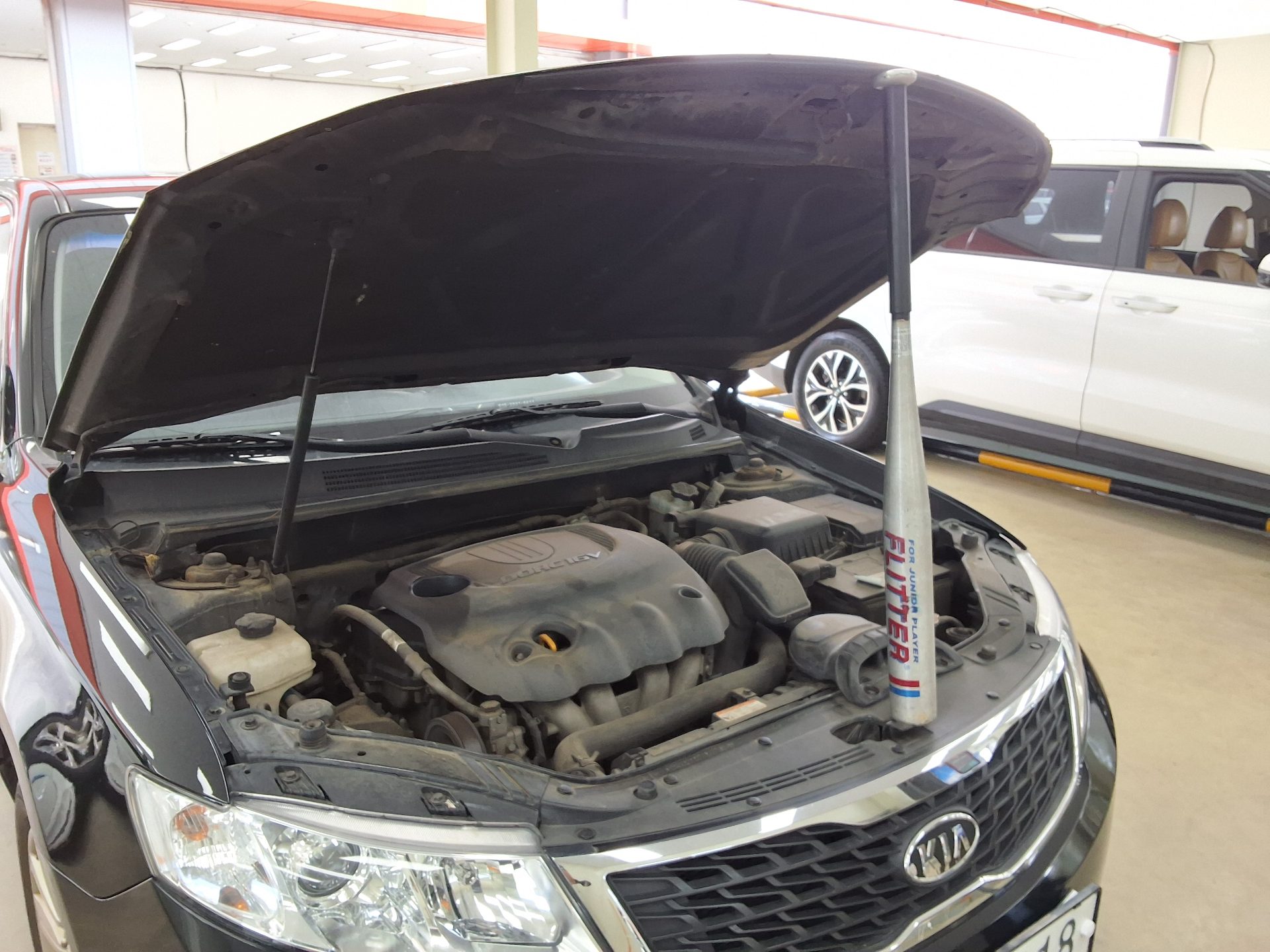 كيا Lotze Innovation غاز Rental Car بريميوم موديل 2010 بريميوم