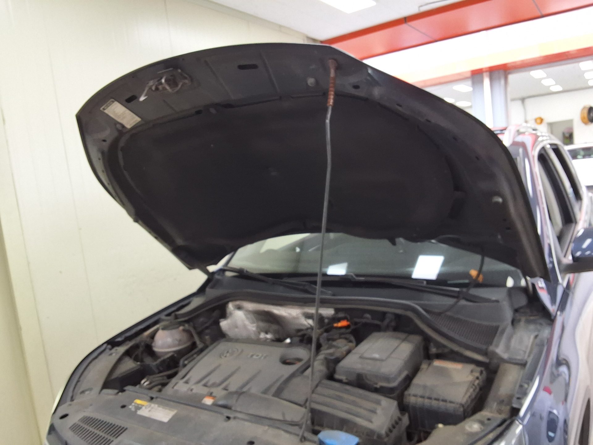 فولكس فاجن تيجوان 2.0 TDI Bluemotion بريميوم 2013 بريميوم