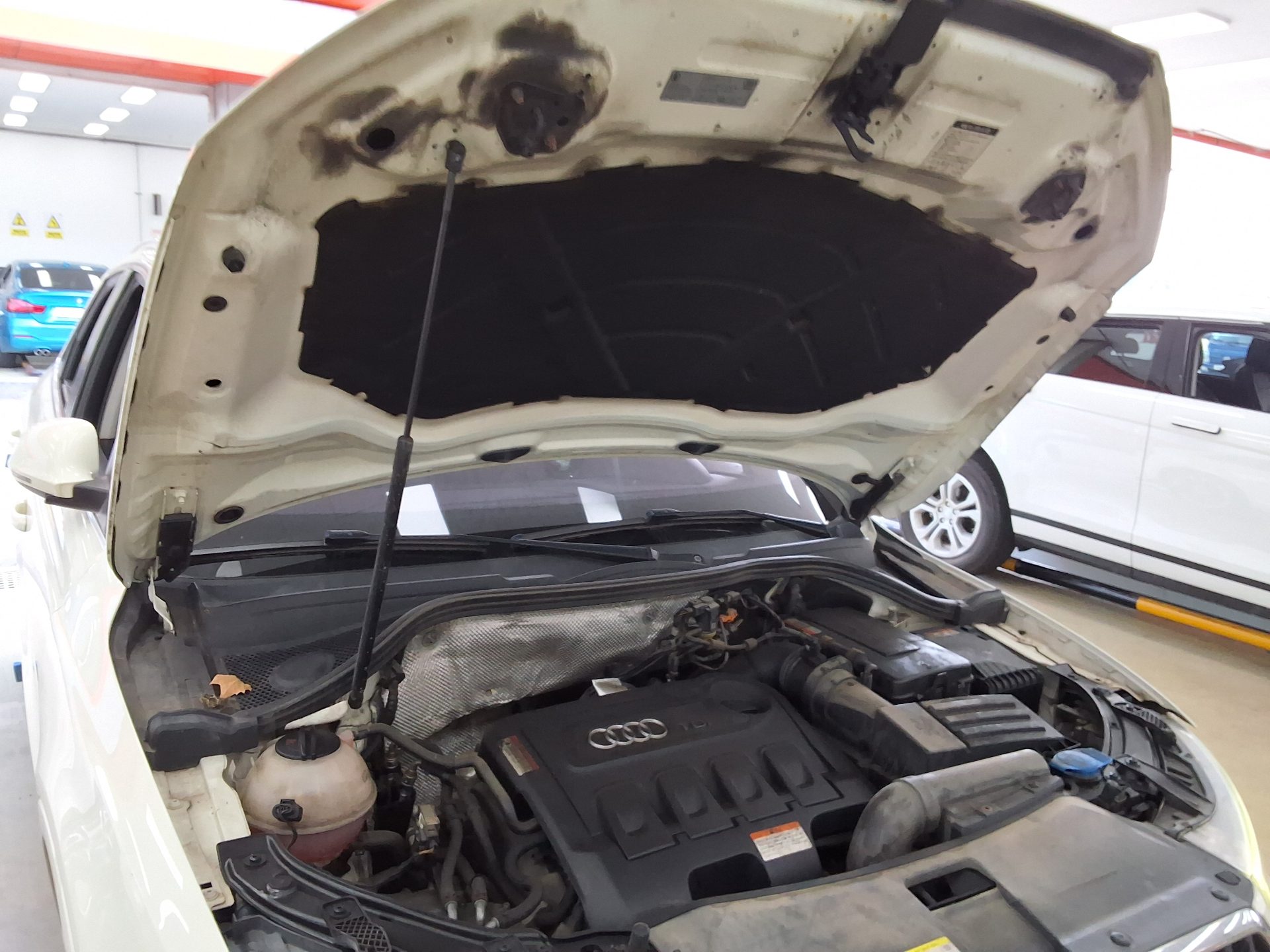 أودي كيو 3 2.0 TDI كواترو Dynamic 2013