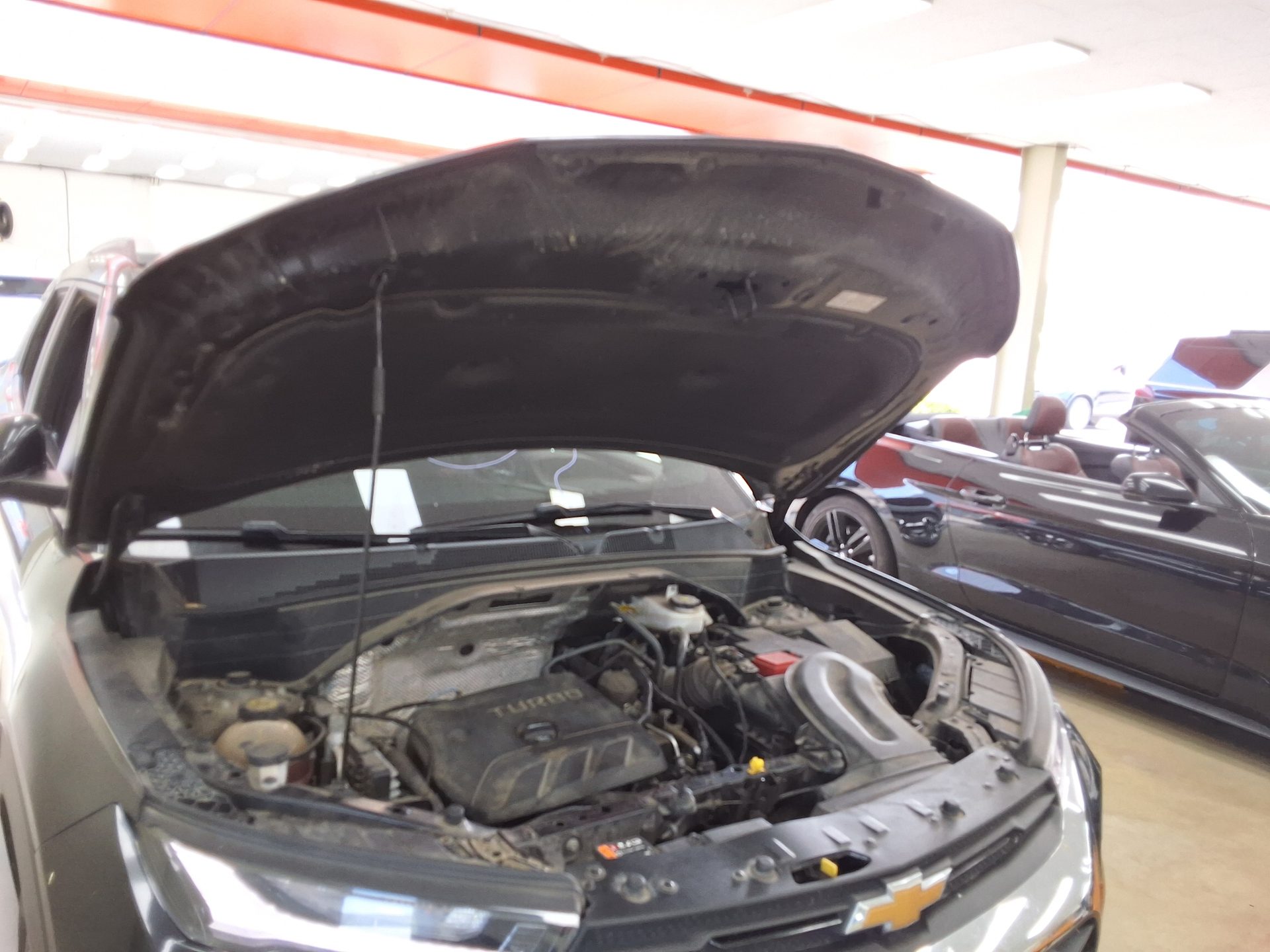 شيفروليه (Daewoo) تريل بليزر 1.35 بنزين Premier 2023 PREMIER