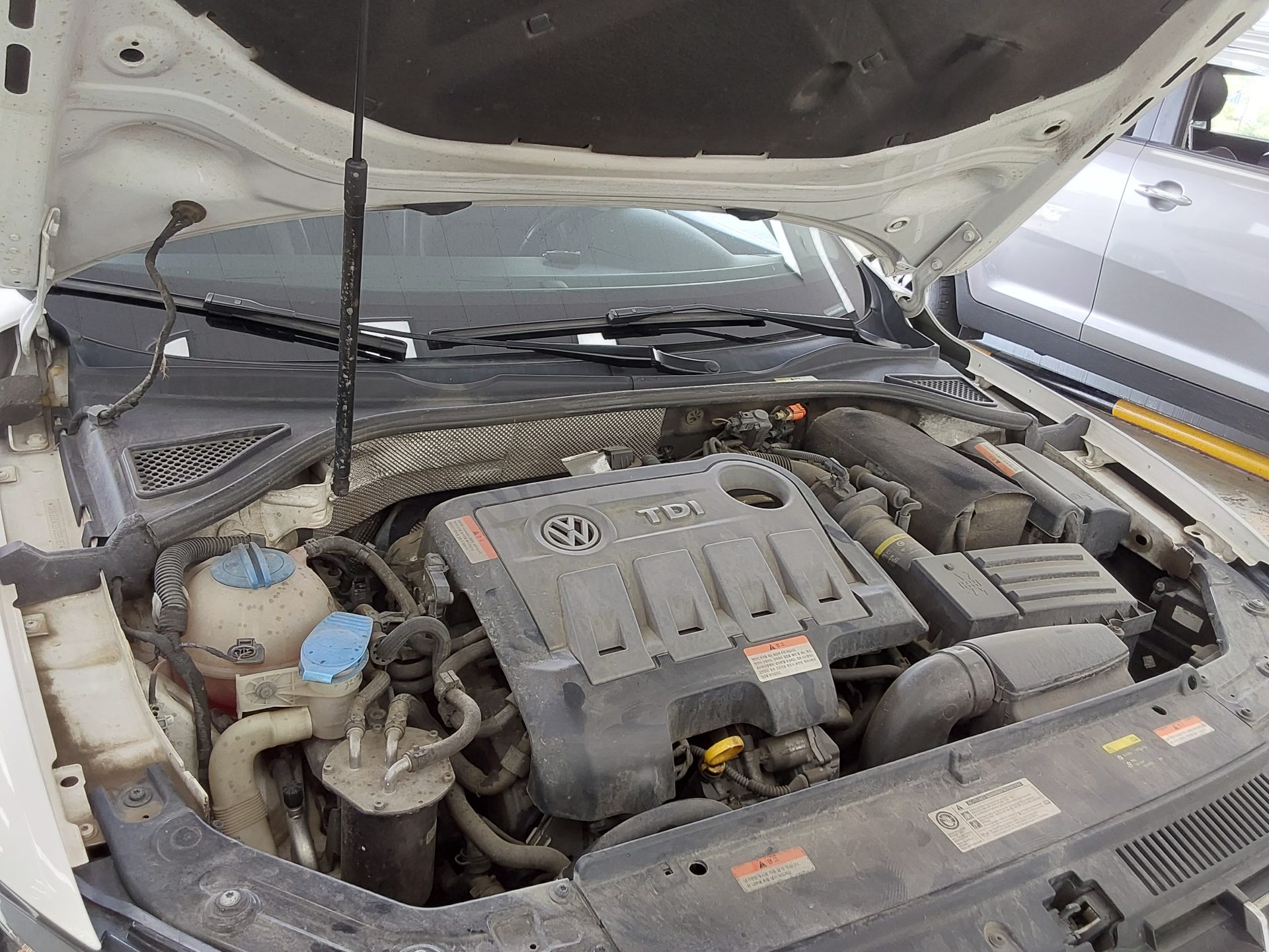فولكس فاجن الجديد باسات (7Th Gen) 2.0 TDI 2015