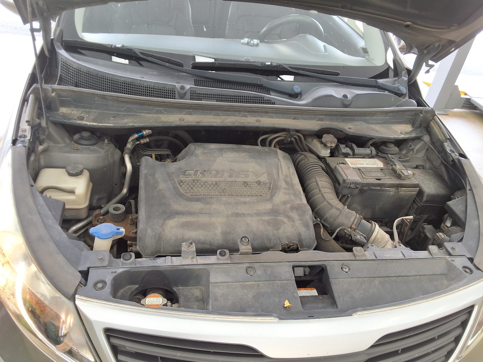 كيا سبورتاج 2011 TLX فاخر