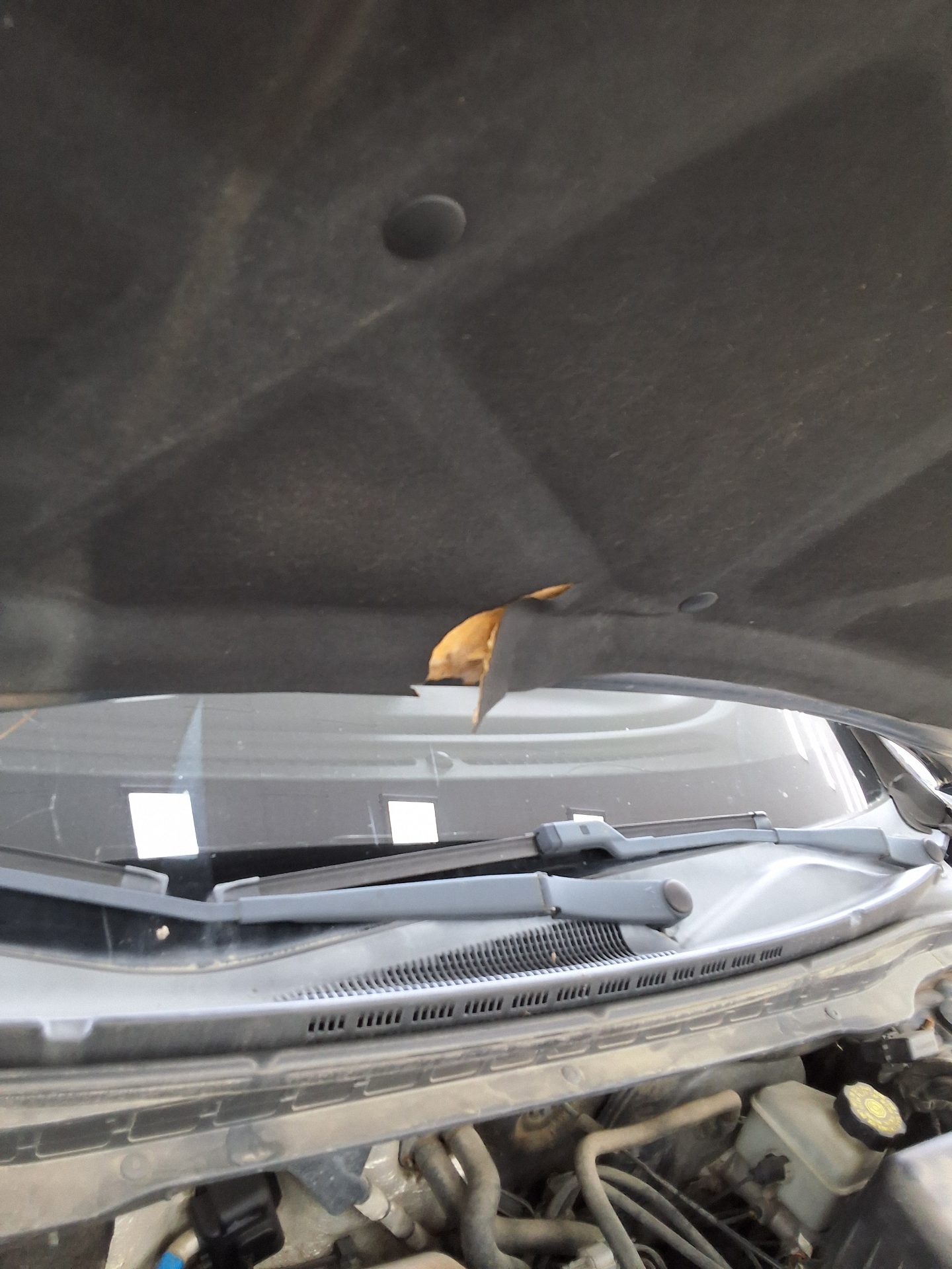هيونداي I30 1.6 Vvt Premier 2008 PREMIER