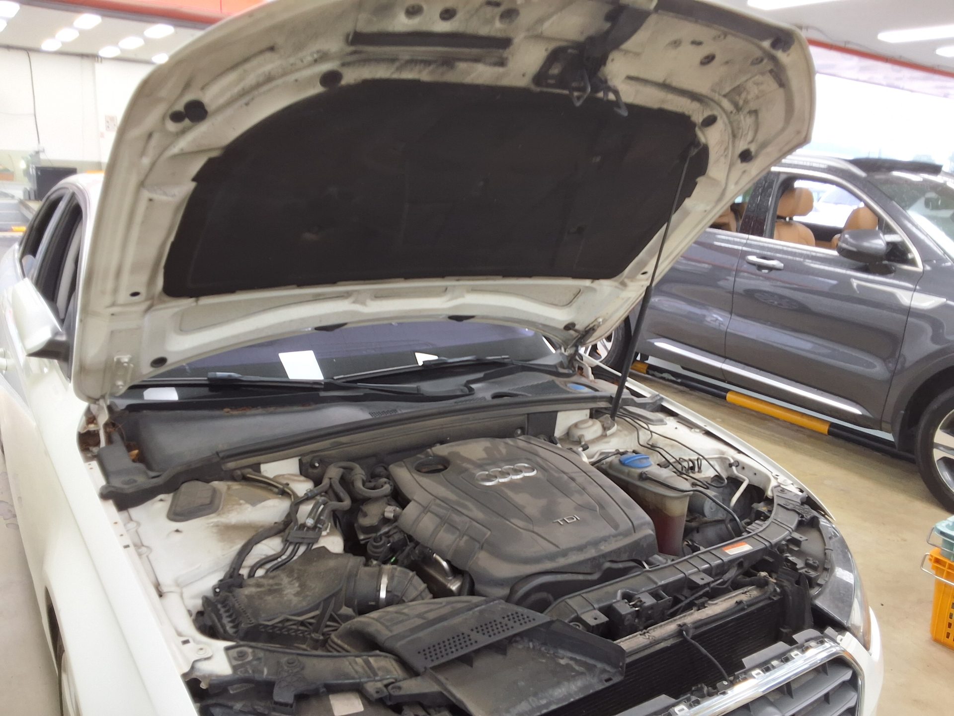 أودي إيه 4 (4Th Gen) 2.0 TDI Dynamic 2013