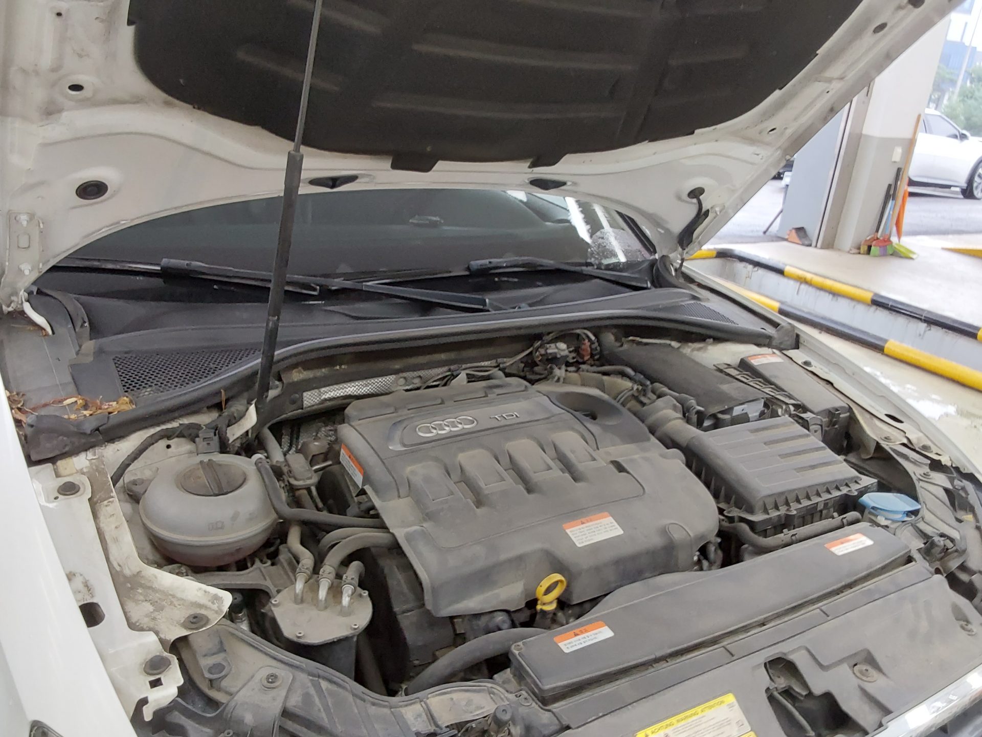 أودي إيه 3 (3Rd Gen) 35 TDI Dynamic 2016