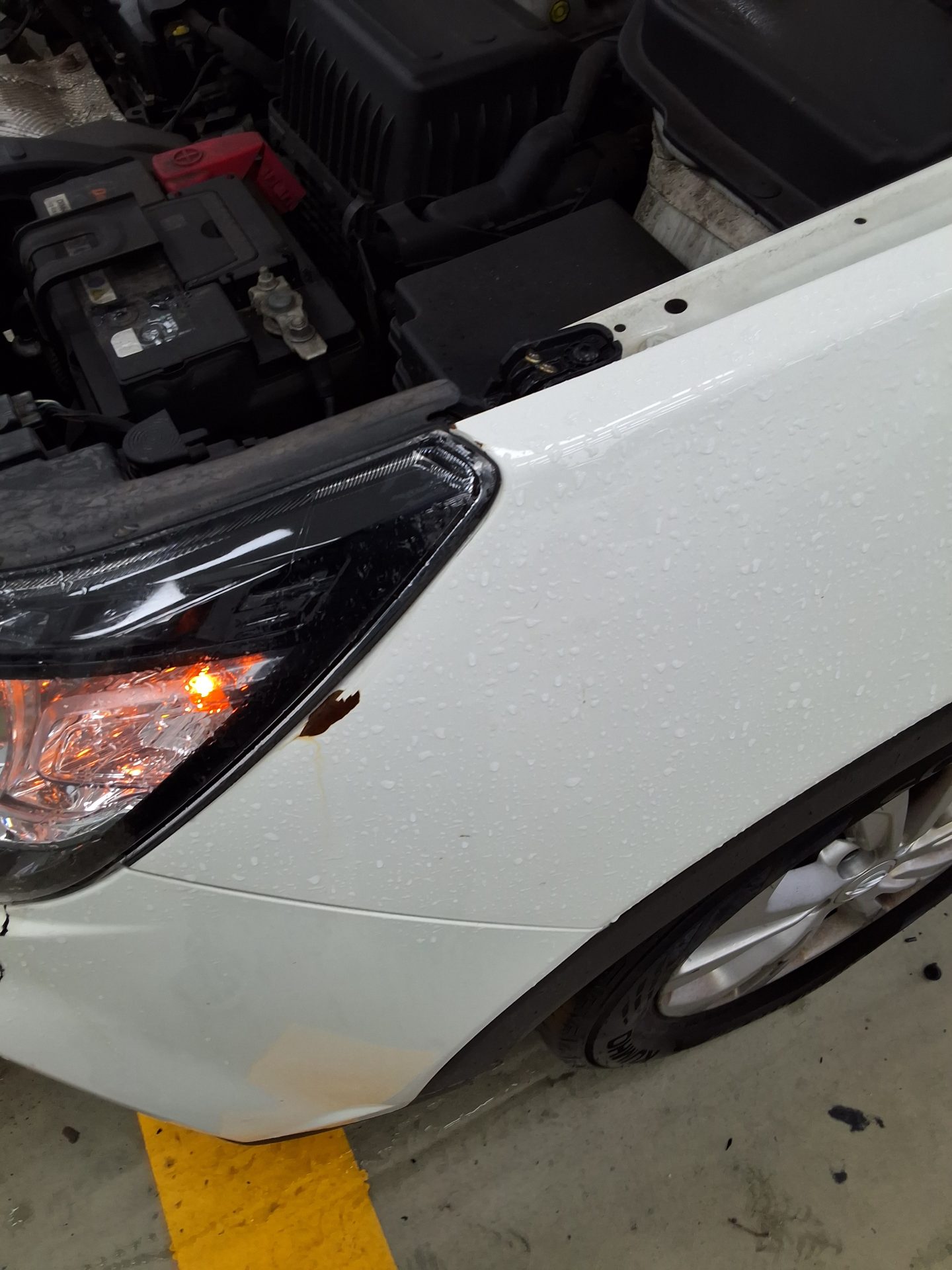 كي جي موبيليتي Mobility (سانج يونج) تيفولي Armour 1.6 بنزين Vx 2019