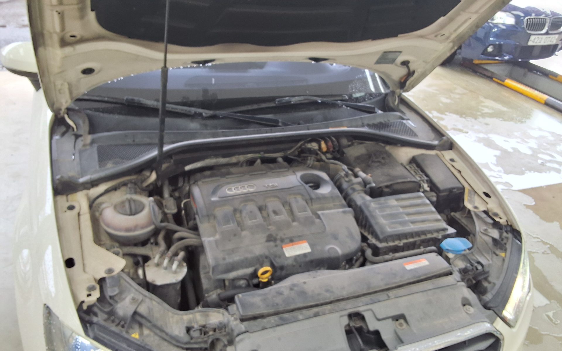 أودي إيه 3 (3Rd Gen) 35 TDI Dynamic 2015