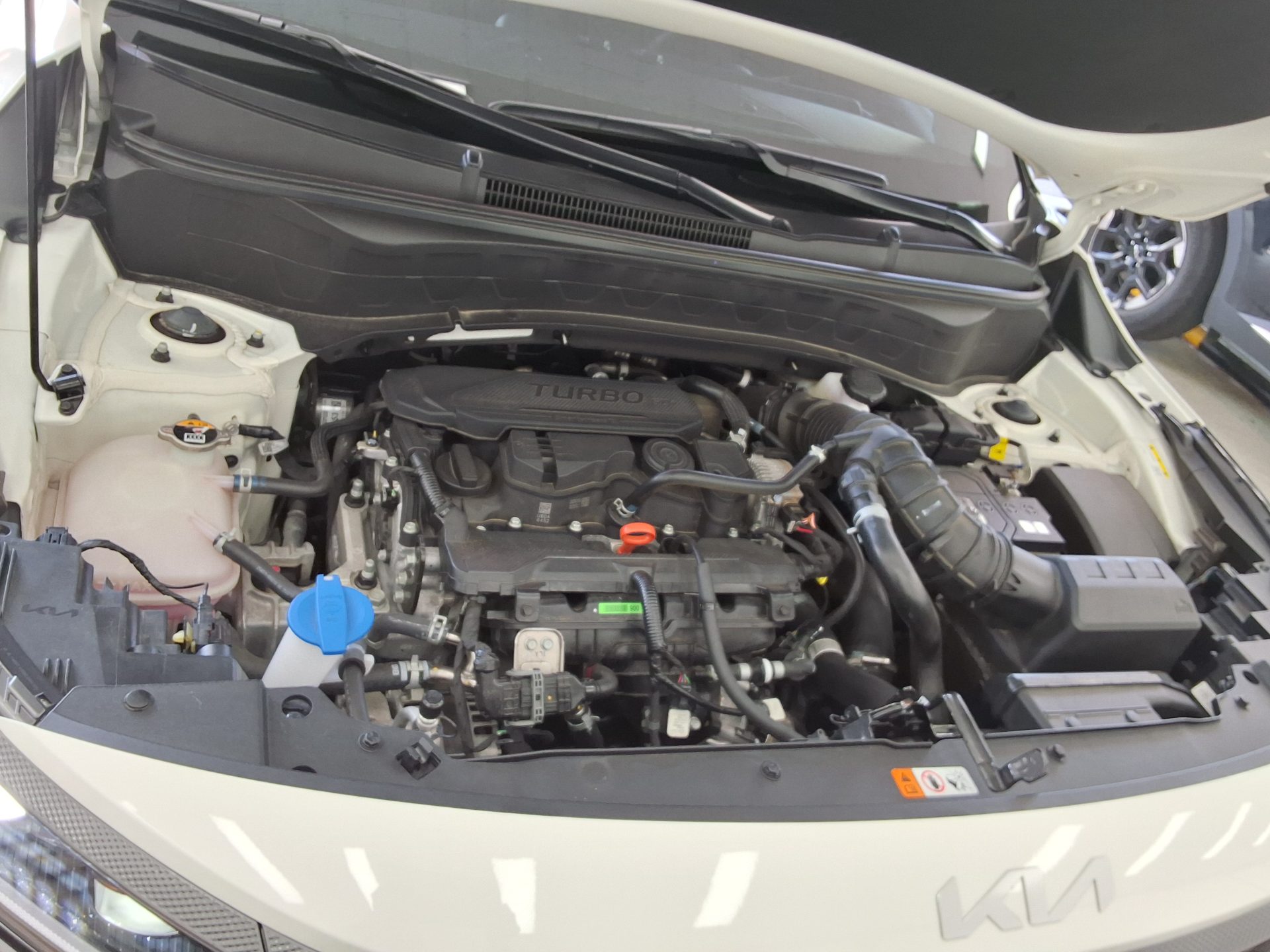 كيا سيلتوس 2025 TURBO SIGNATURE