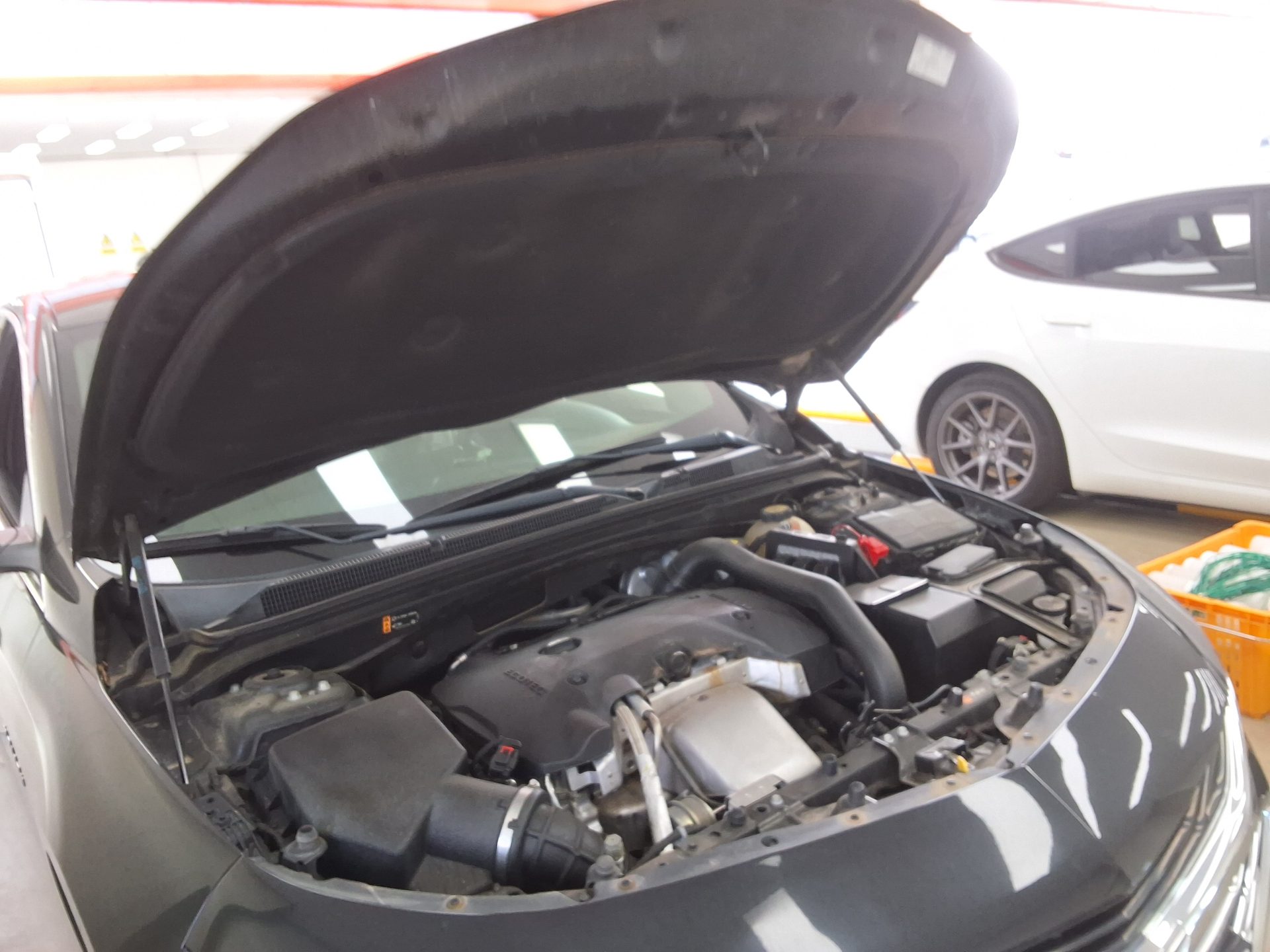 شيفروليه (Daewoo) الجديد ماليبو 2.0 بنزين Lt سبيشل 2019 LT SPECIAL